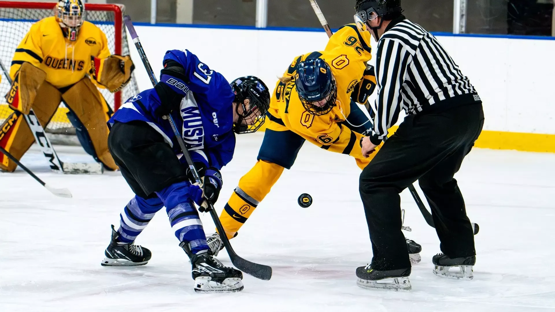 Alyssa Wouda takes a faceoff against Queen's  - Nov. 15