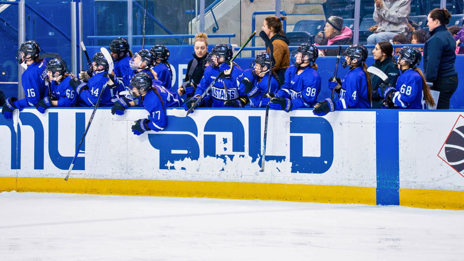 Mustangs Bench celebrates goal against TMU Nov 16