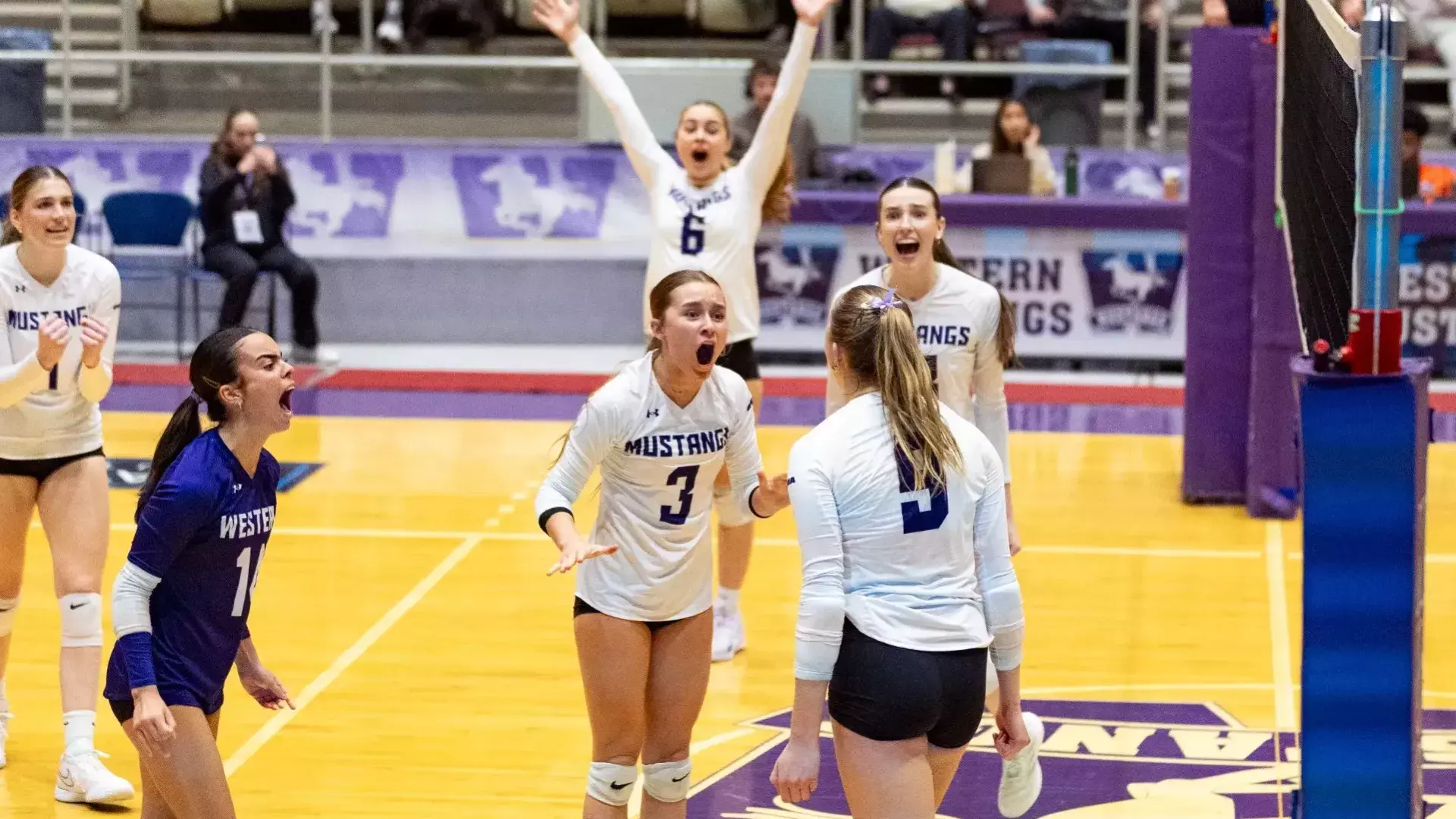 Celly WVB