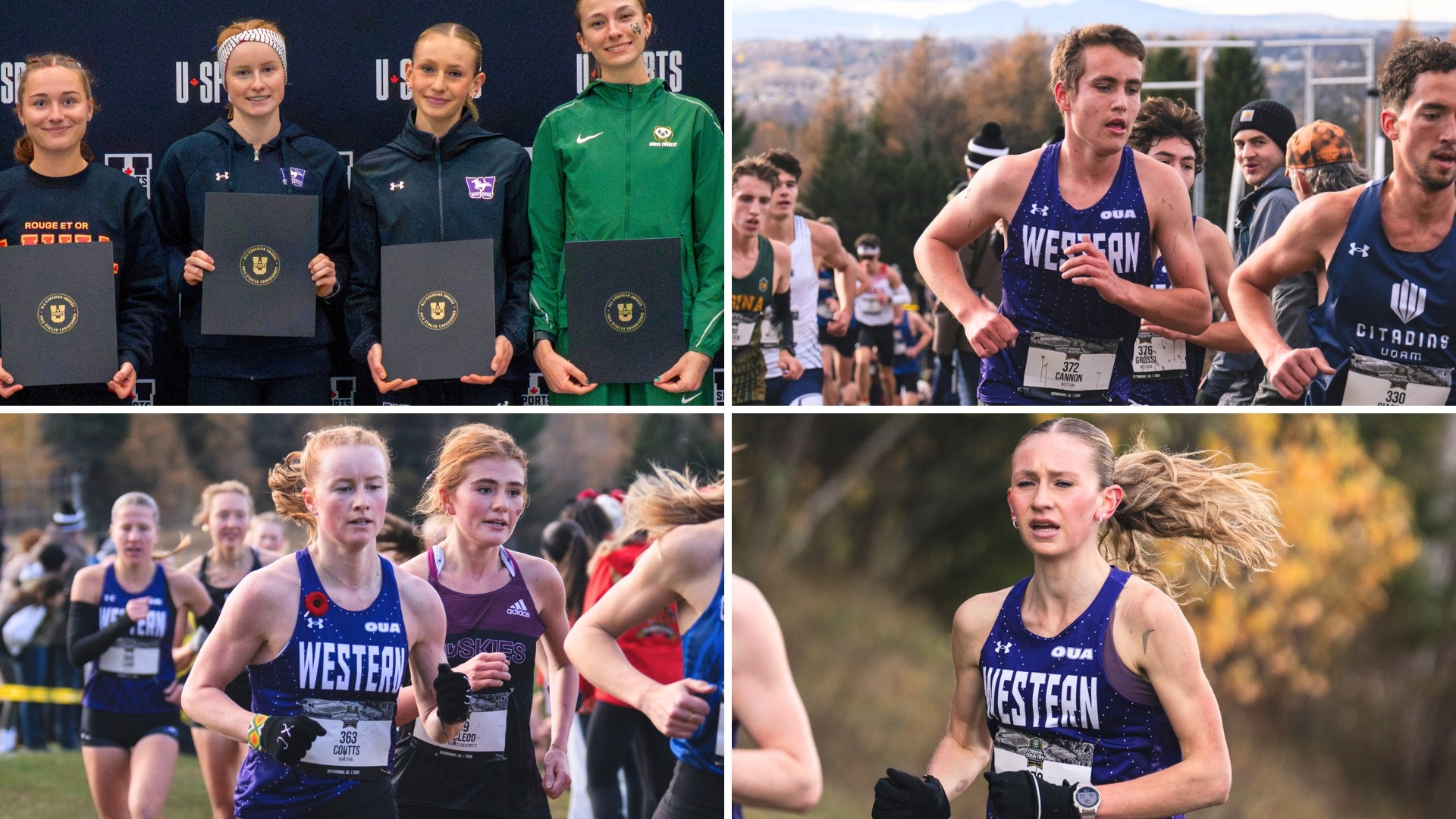 2025 U SPORTS Cross Country Championship