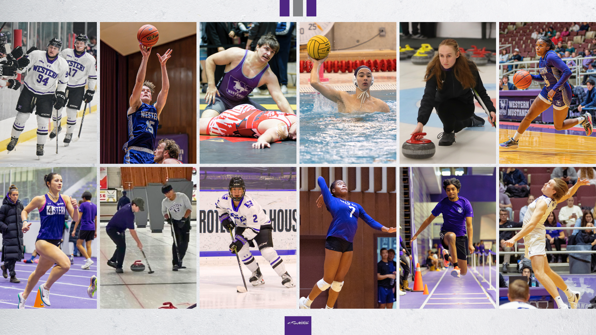 Mustangs Recap: Nov 27-30