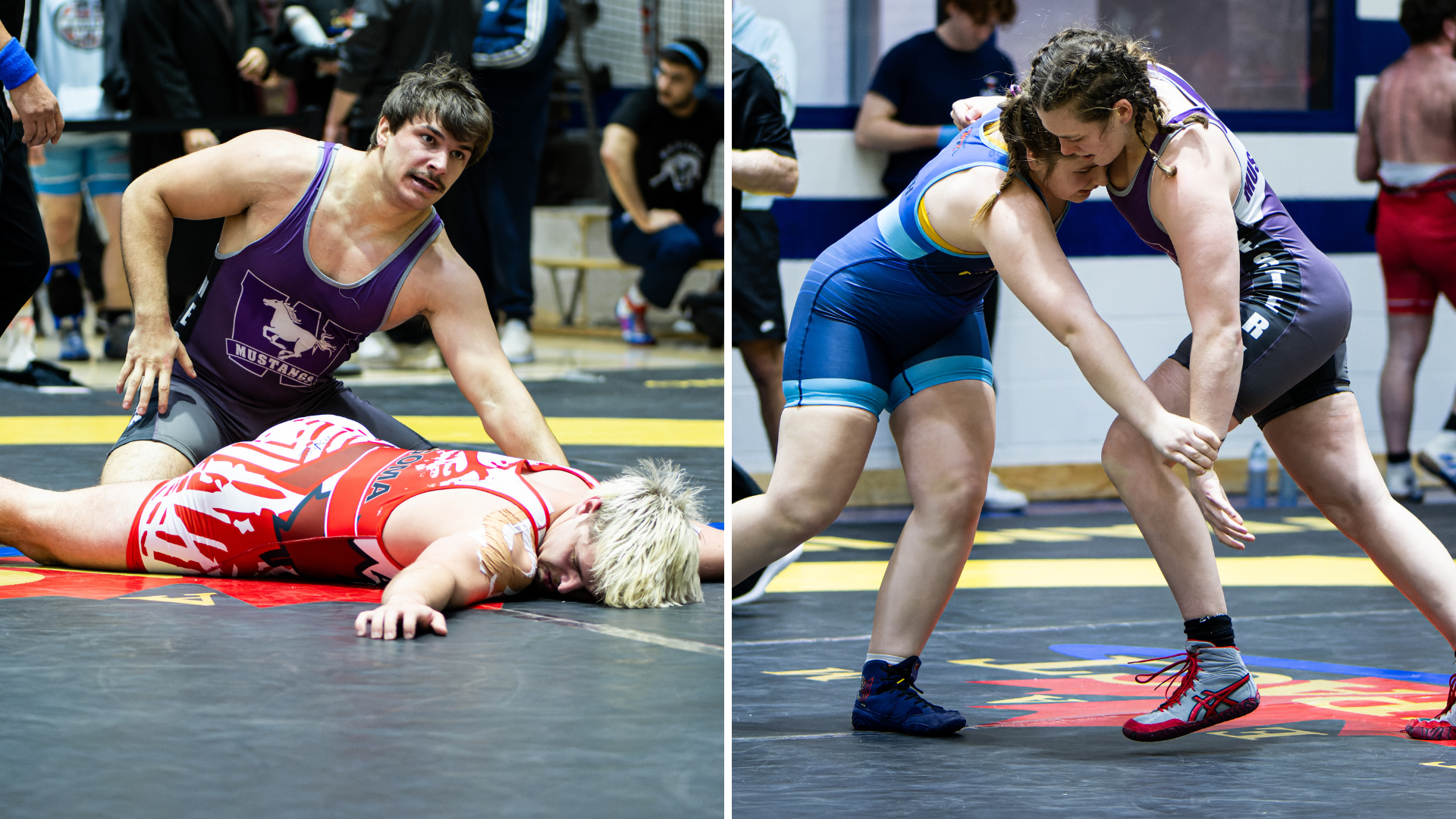 Mustangs compete at 2025 Toronto Open