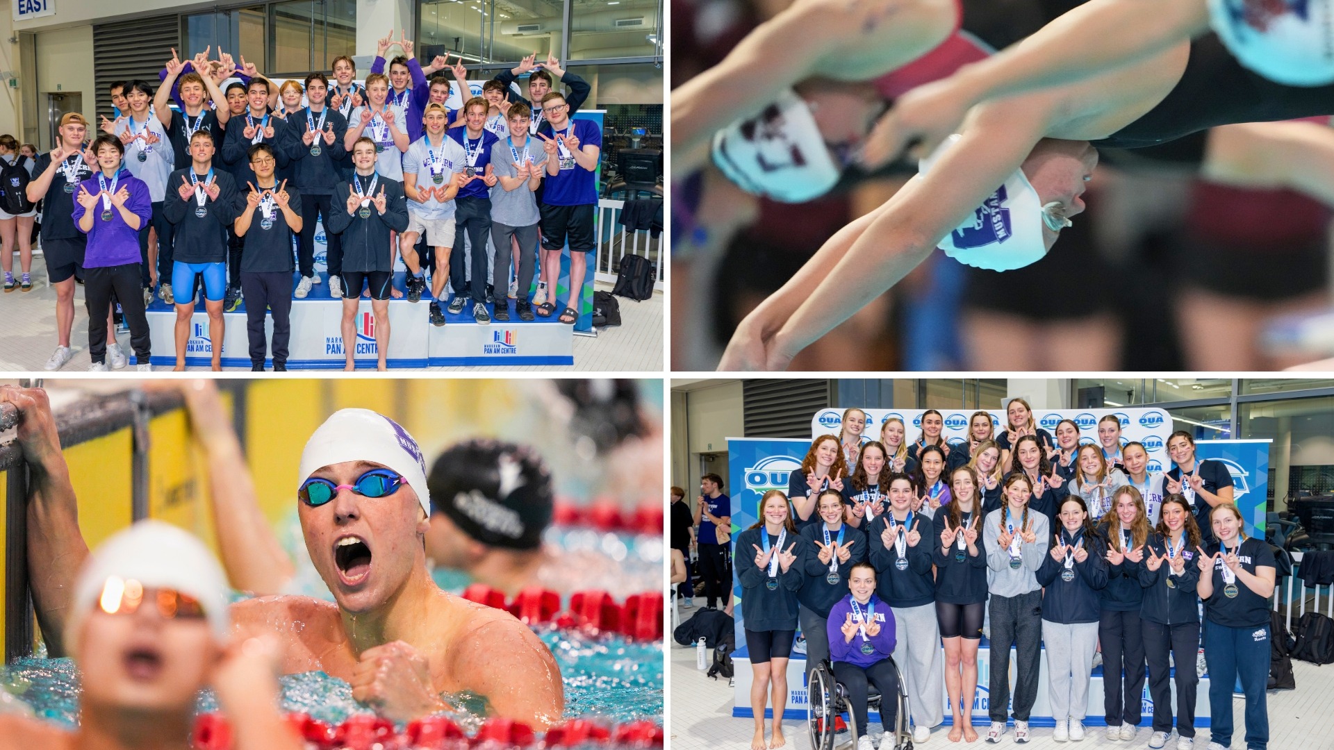 Mustangs compete at 2025 OUA Swimming Championship
