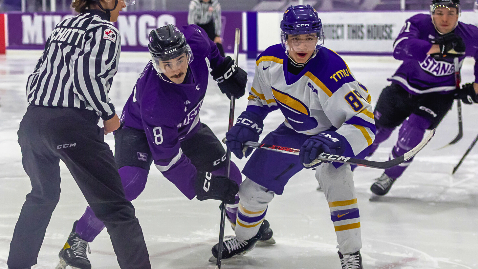 Christiano Aiello takes a face-off against TMU