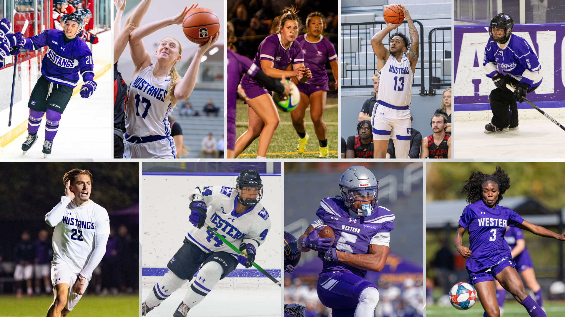Mustangs Recap: Oct 21-25