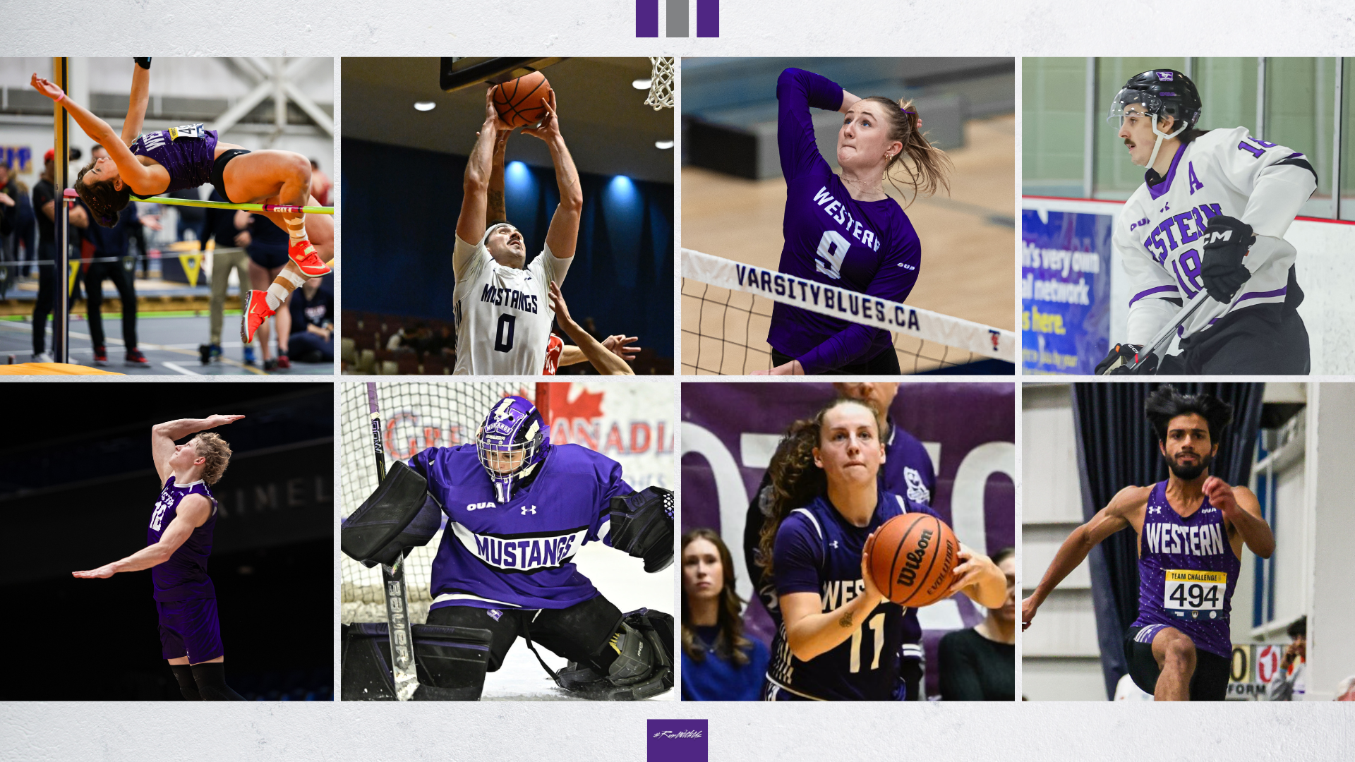 Mustangs Recap - Feb 12-15