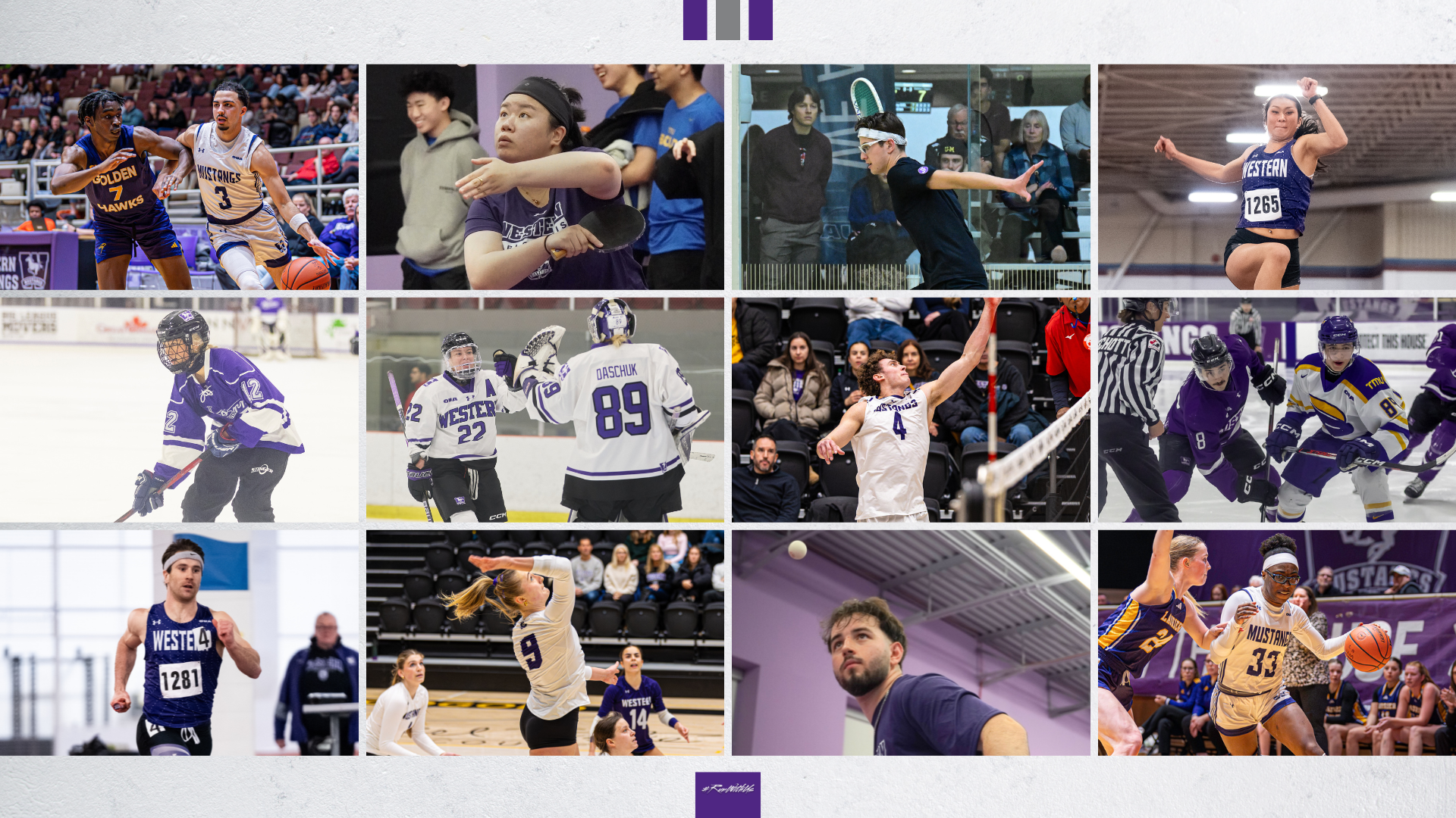 Mustangs Recap: Jan 30 - Feb 1