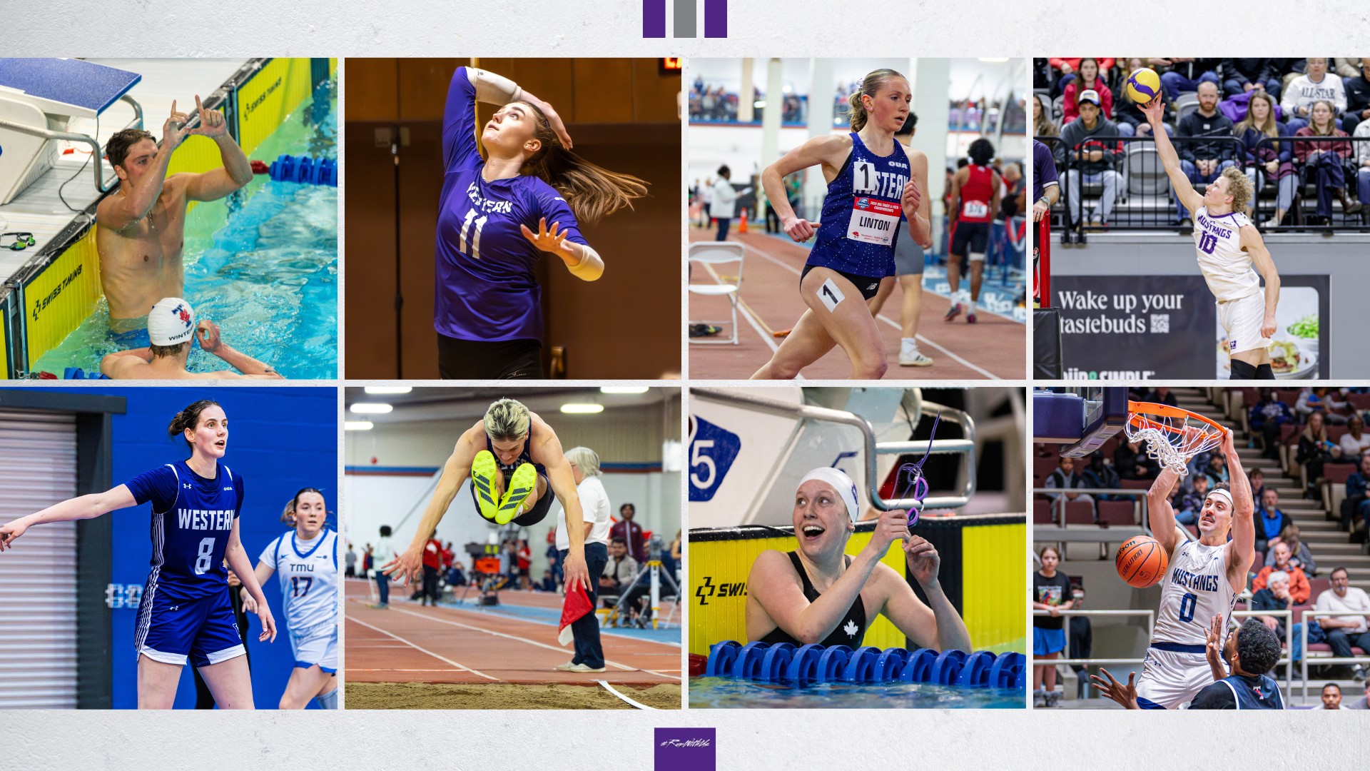 Mustangs Recap Feb 16-22