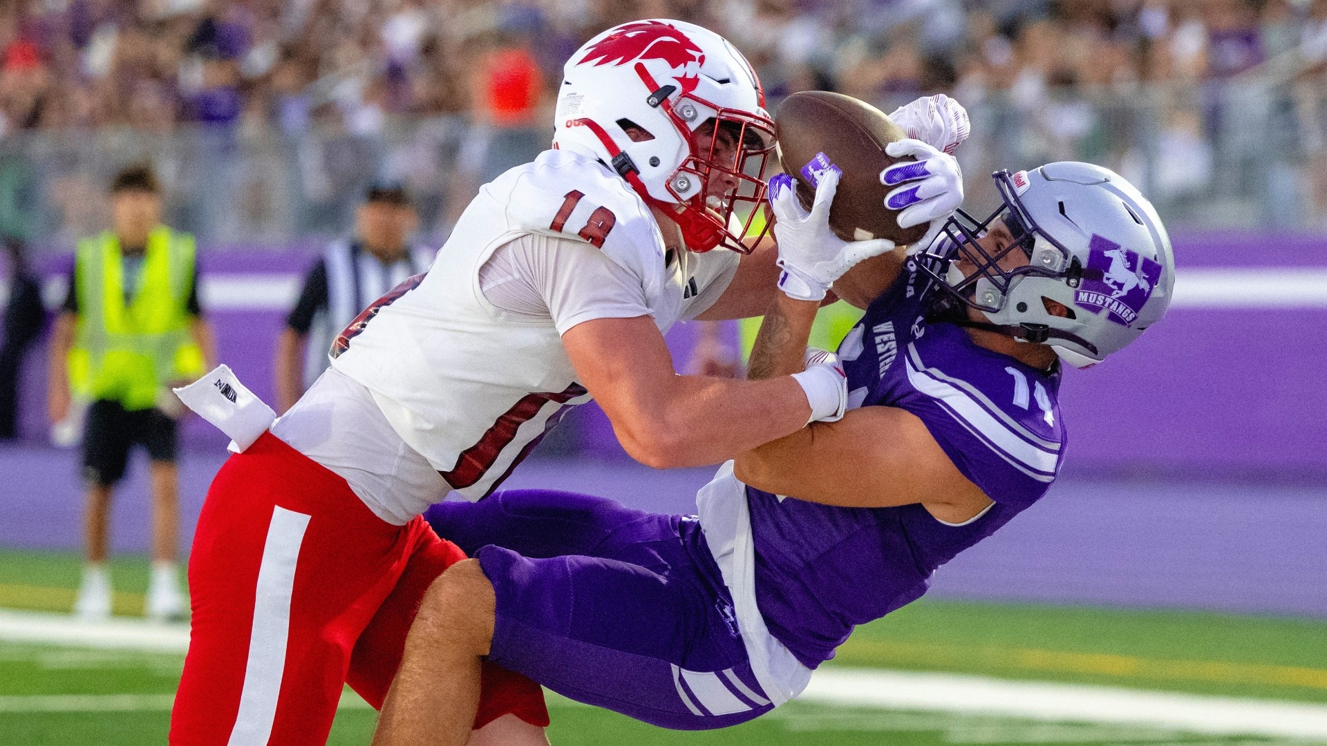 Nik Shewchuk makes a diving TD catch against York