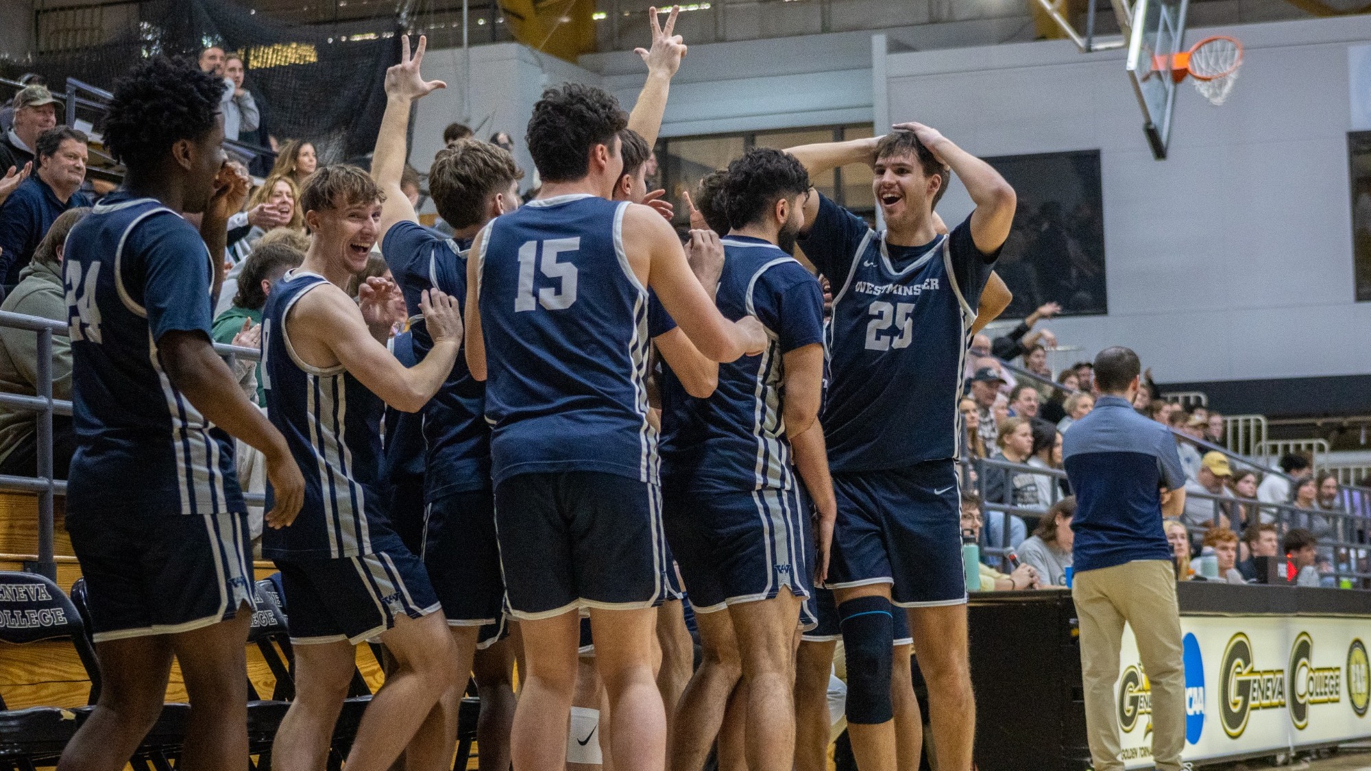 Westminster basketball