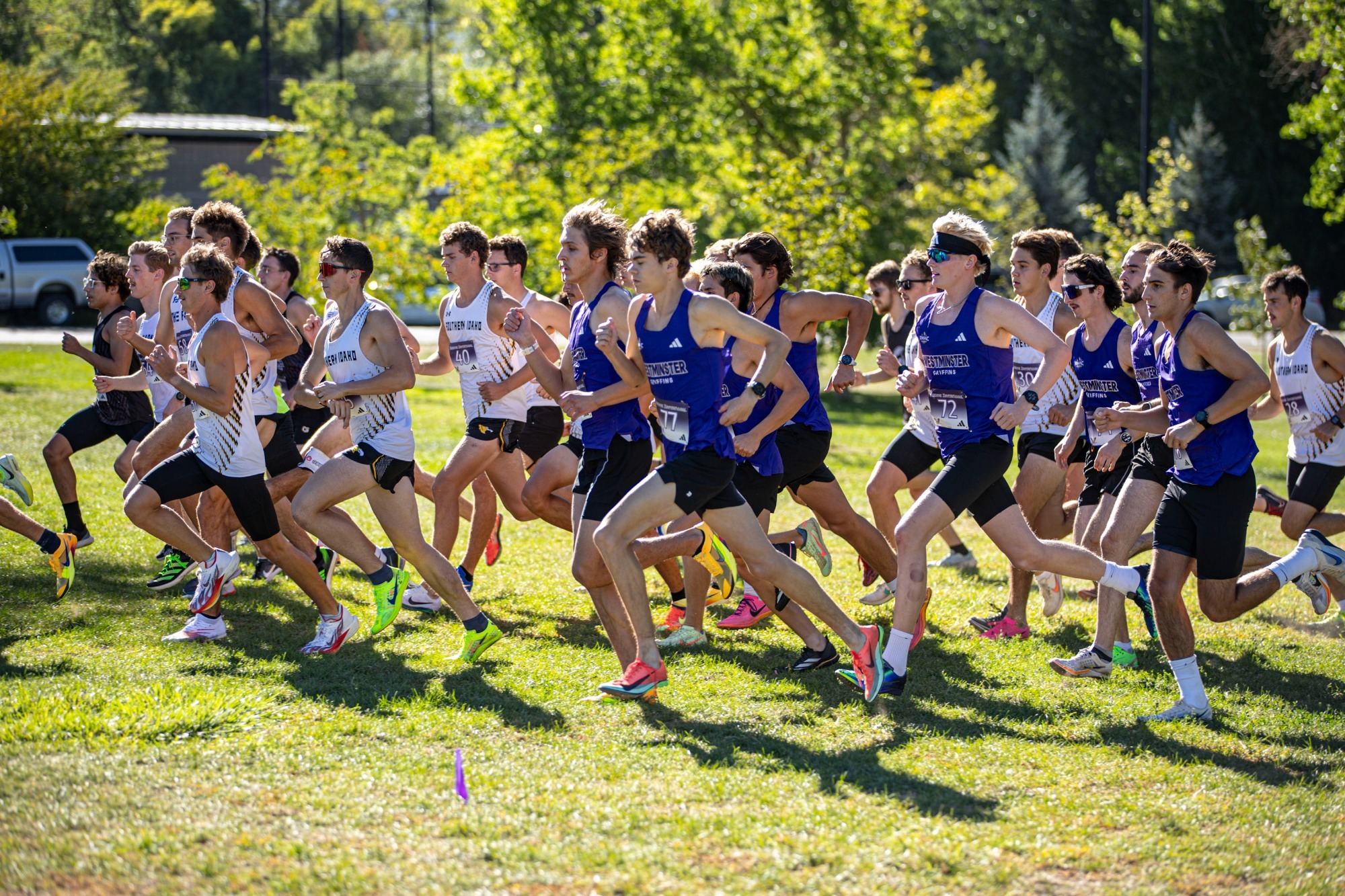 Men's Cross Country team starting their 5k