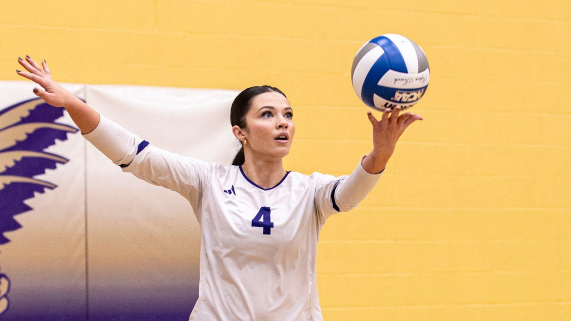 Apiline White serving