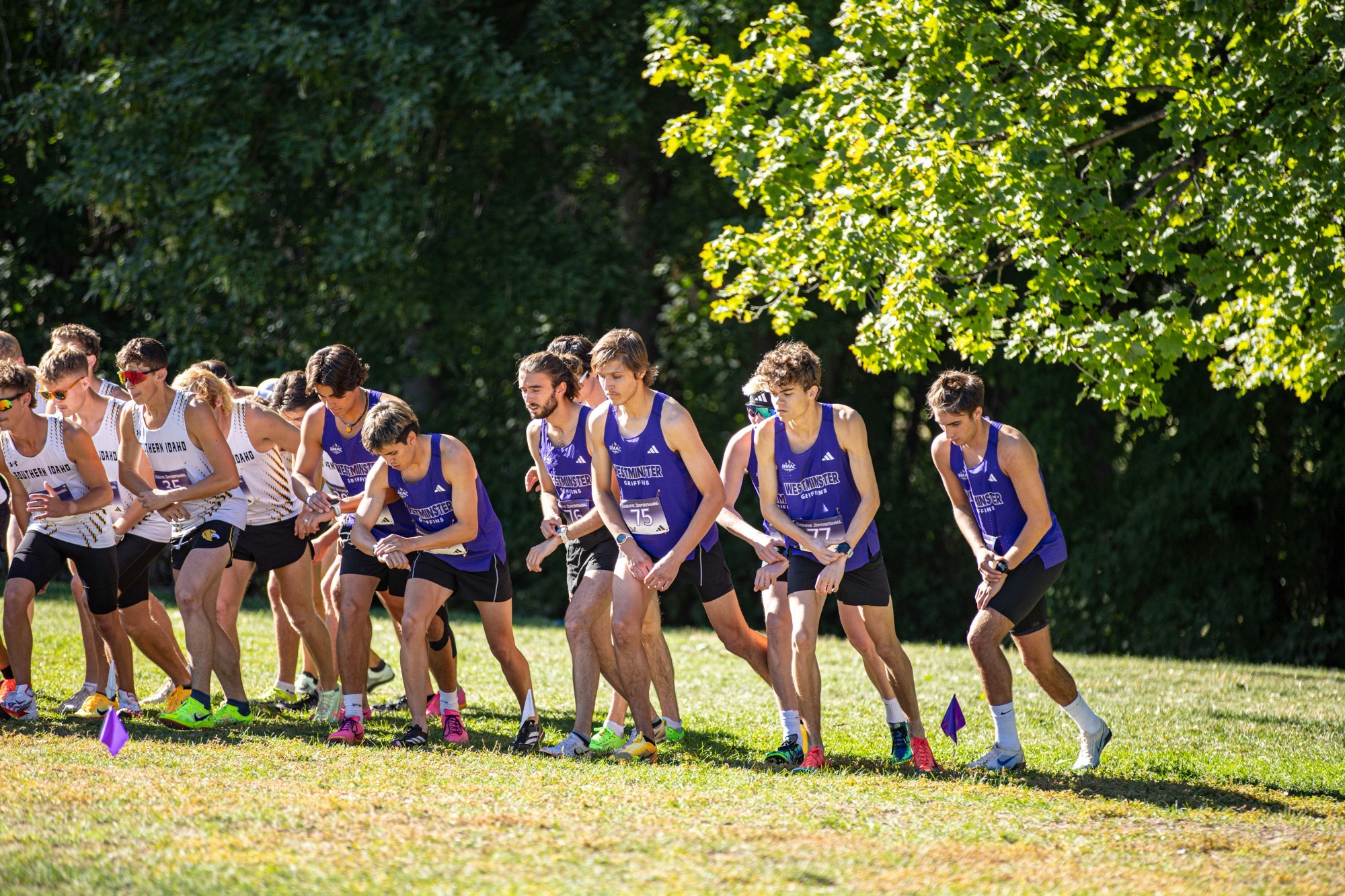 Men's XC lining up to begin race