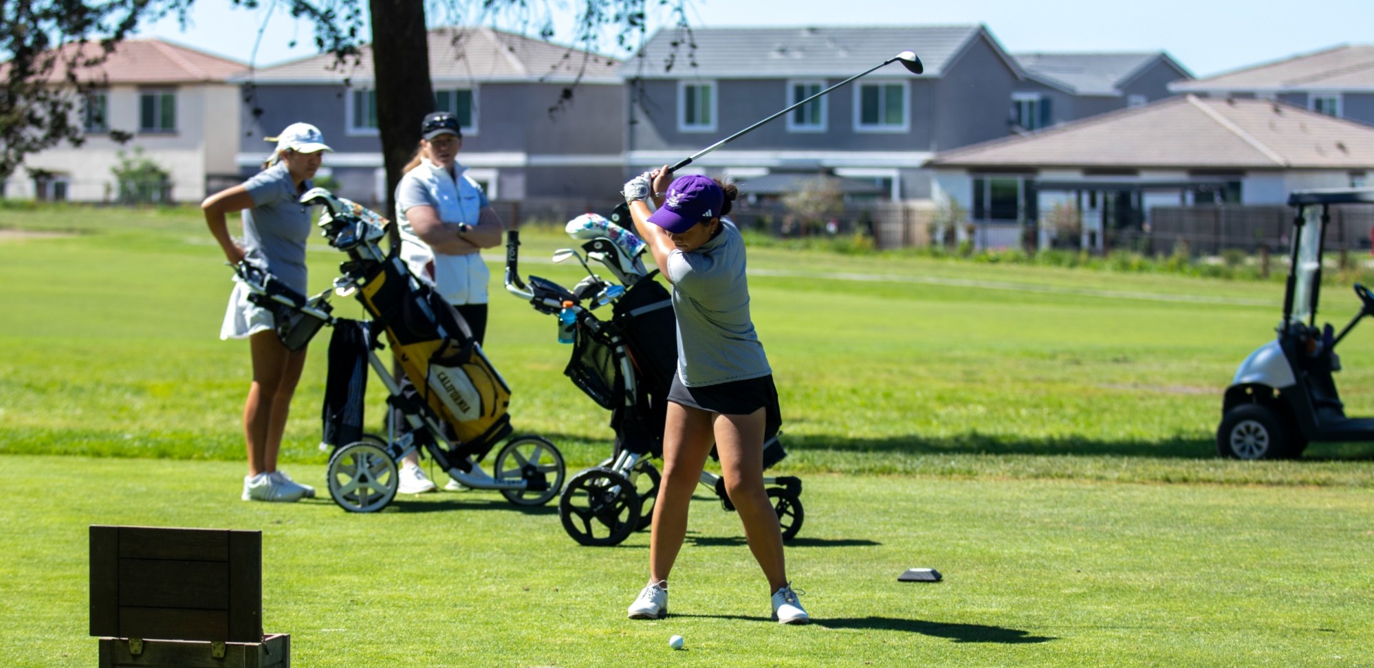 wgolf swing