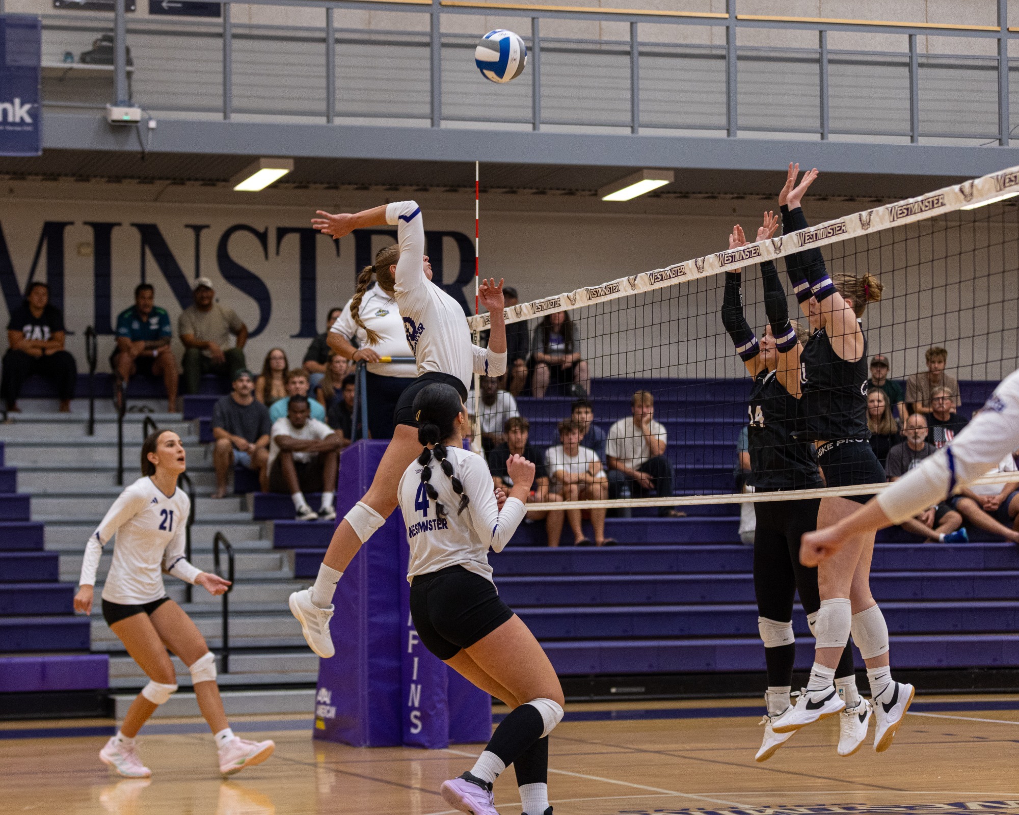 Volleyball Spike
