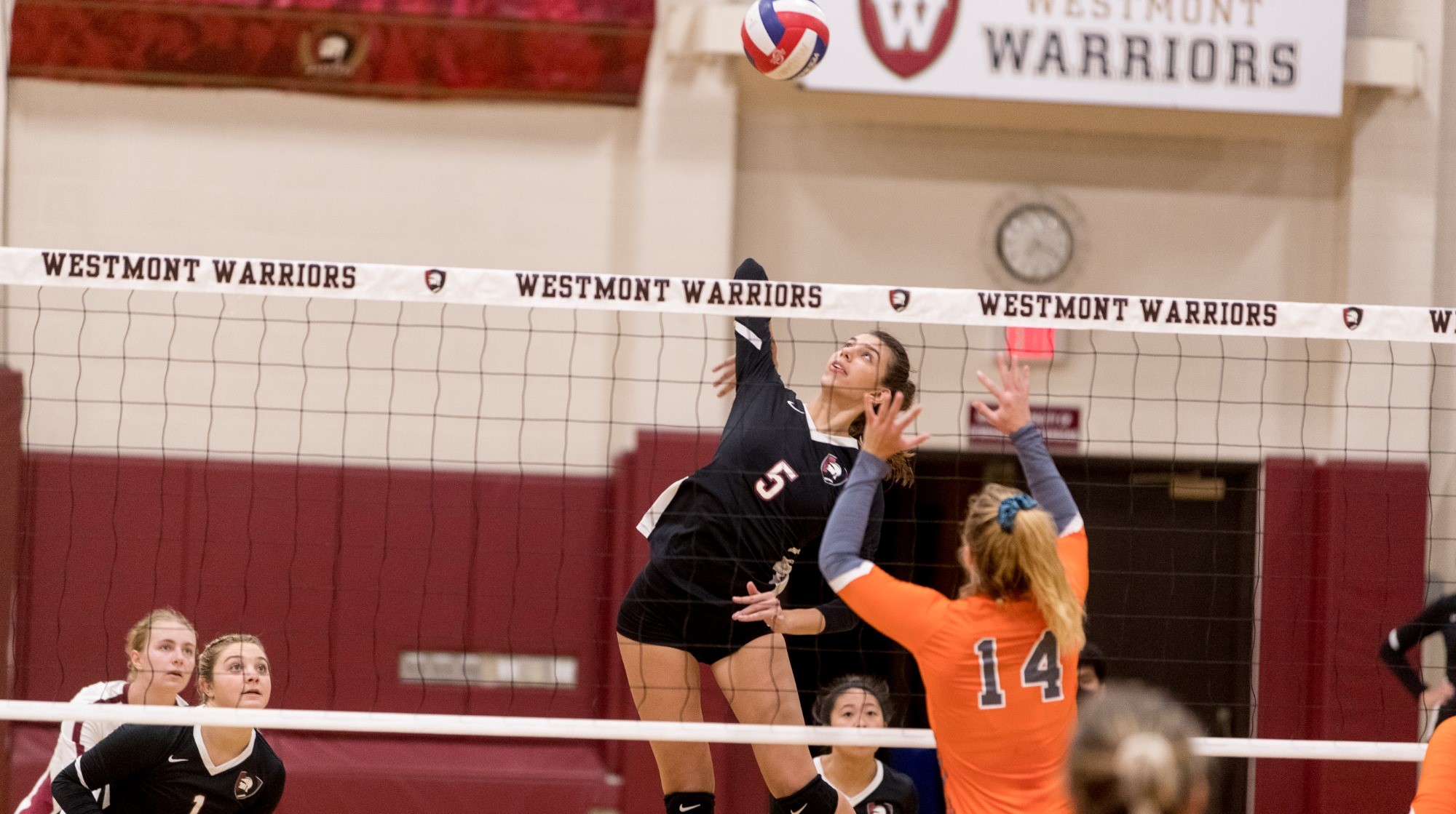 Sara Krueger Women's Volleyball Westmont College Athletics