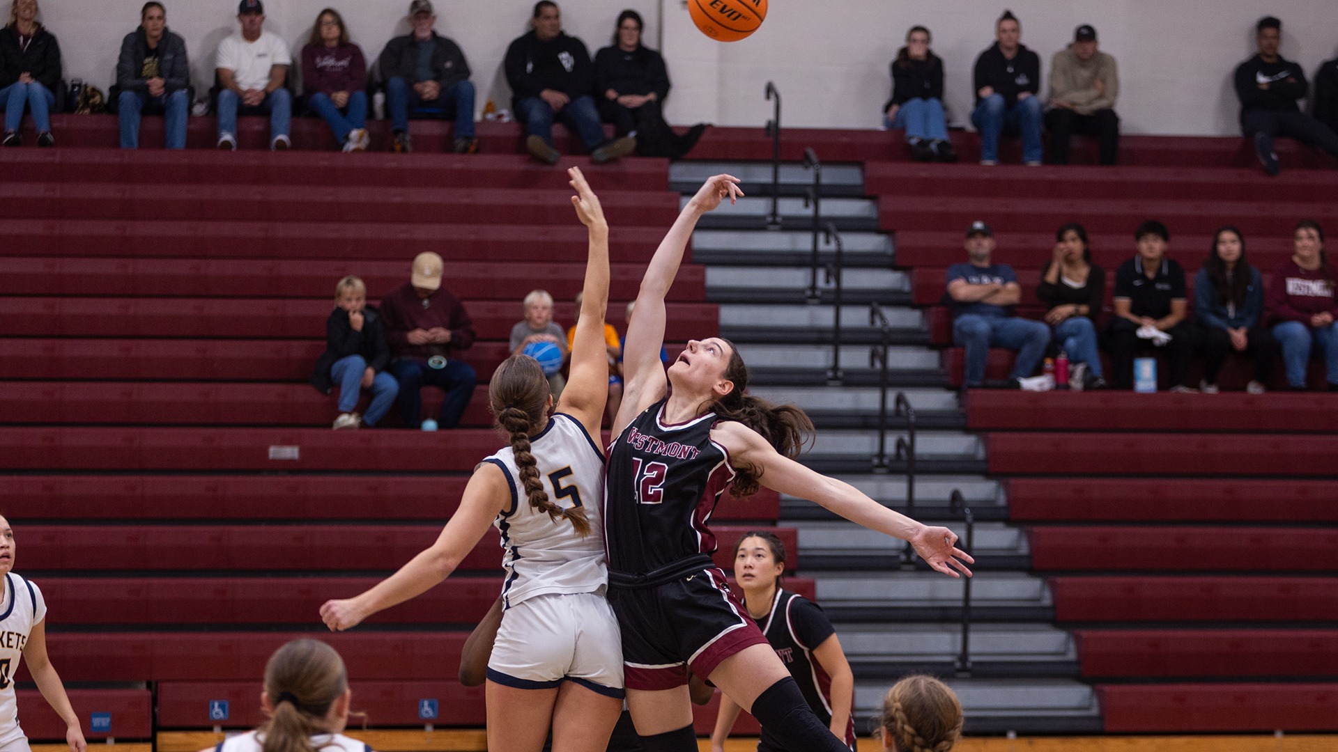 Lisa Kiefer (Photo by Collin Jackson)