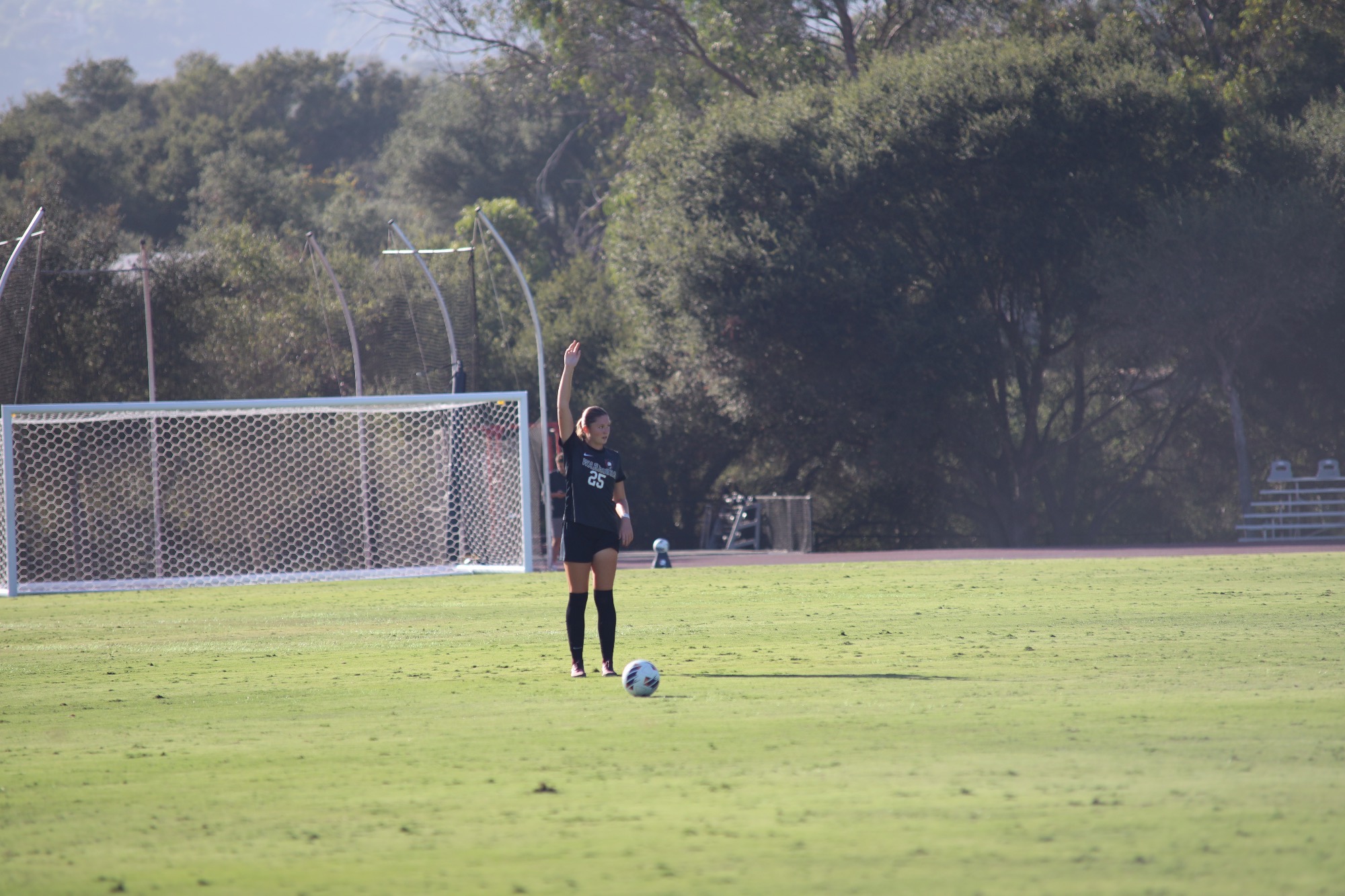 ford free kick