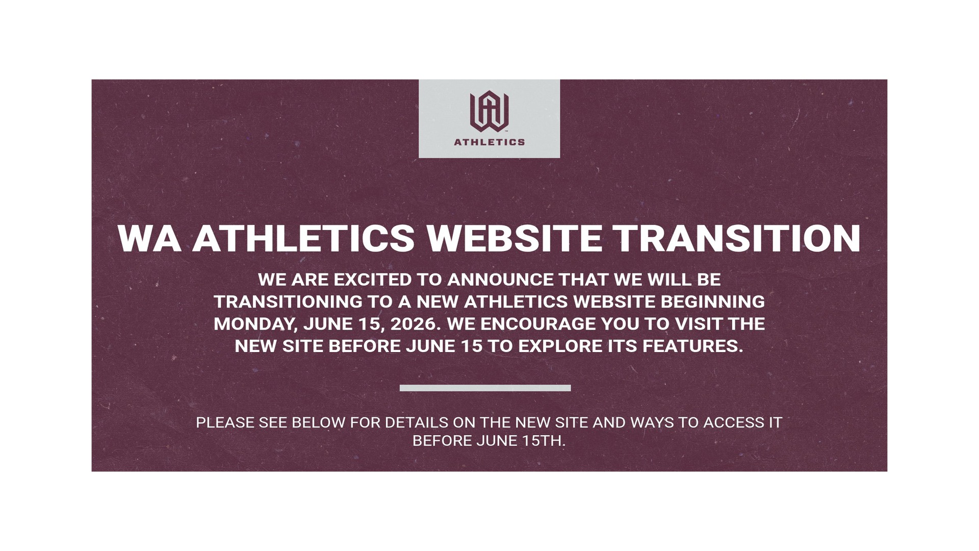 Website Migration 