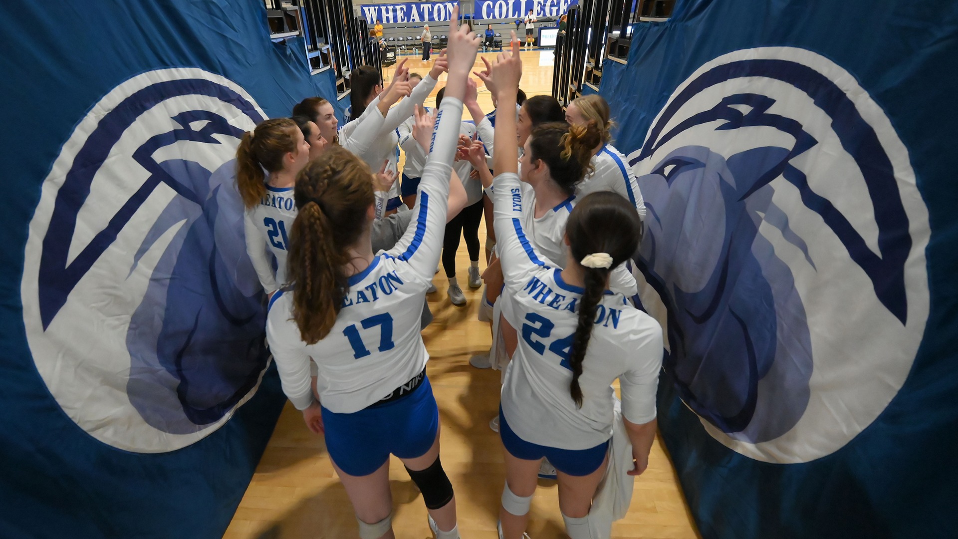 No. 7 Seed Women's Volleyball Travels to No. 2 Babson for NEWMAC