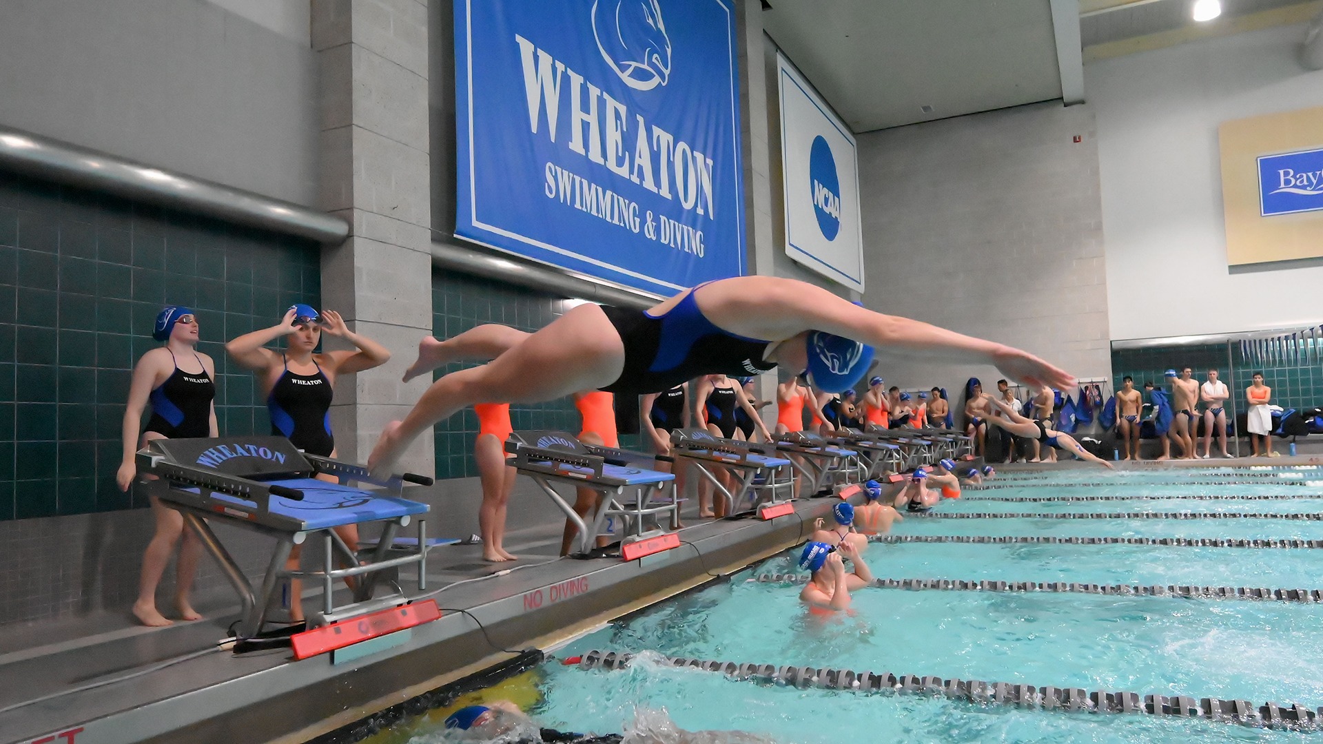 Anne Sweeney - 2023-24 - Women's Swimming and Diving - Wheaton College (MA)