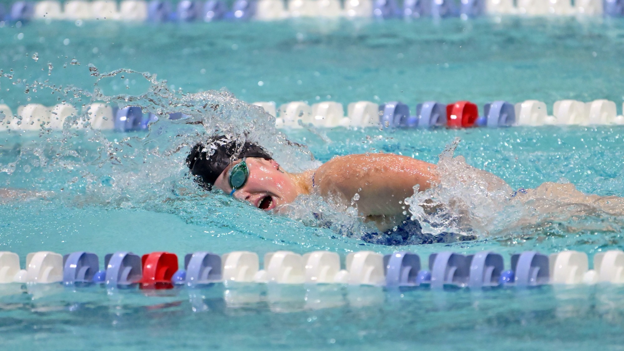 Dalton, Talia action 2425