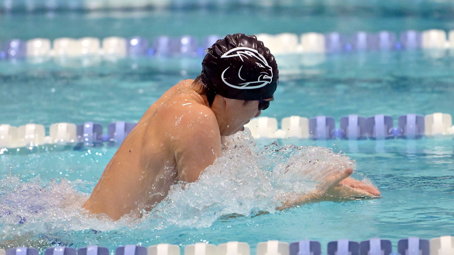 Tran, Andrew action 202425