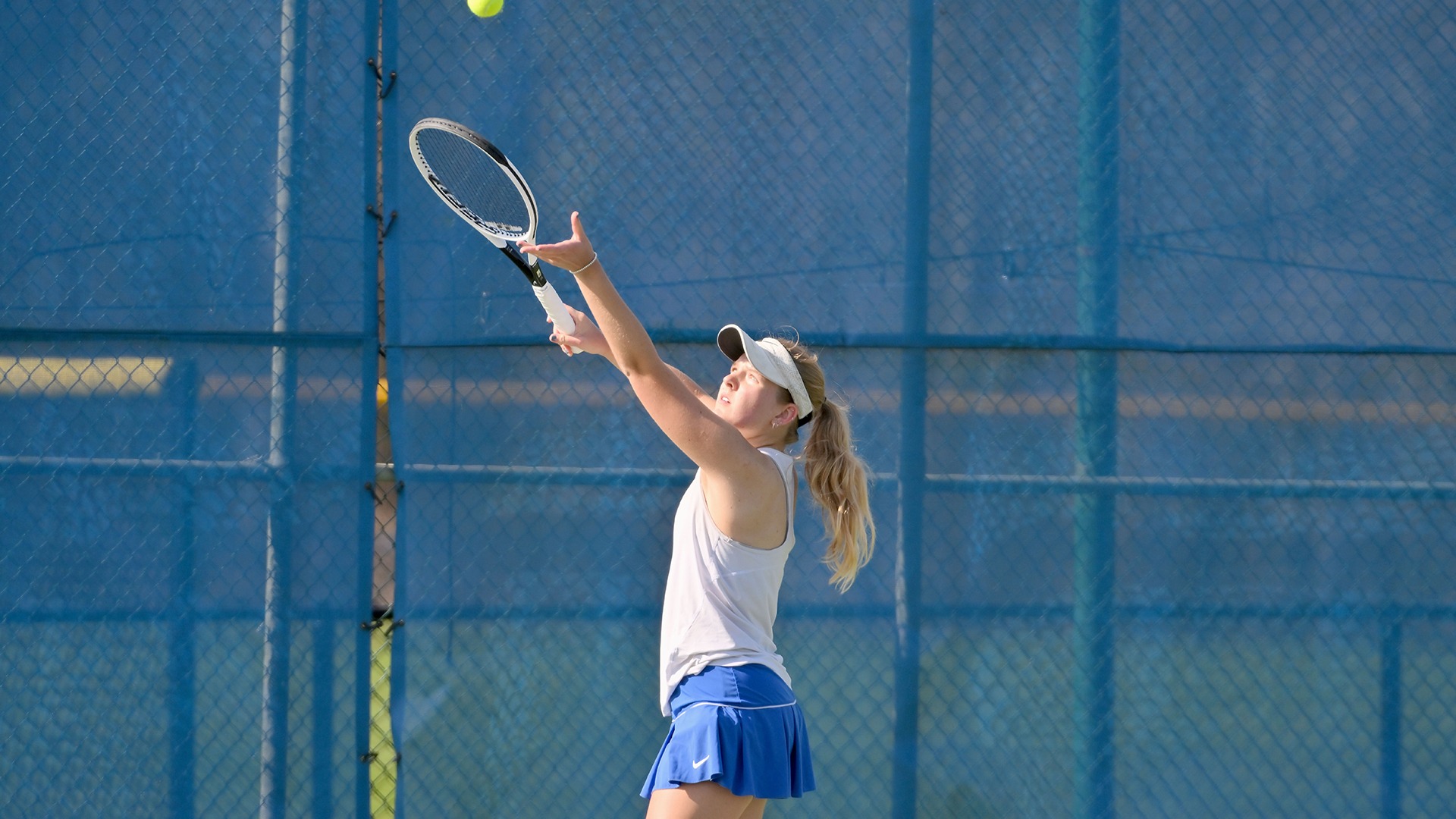 Greenlee, Kara action vs. Babson 2425