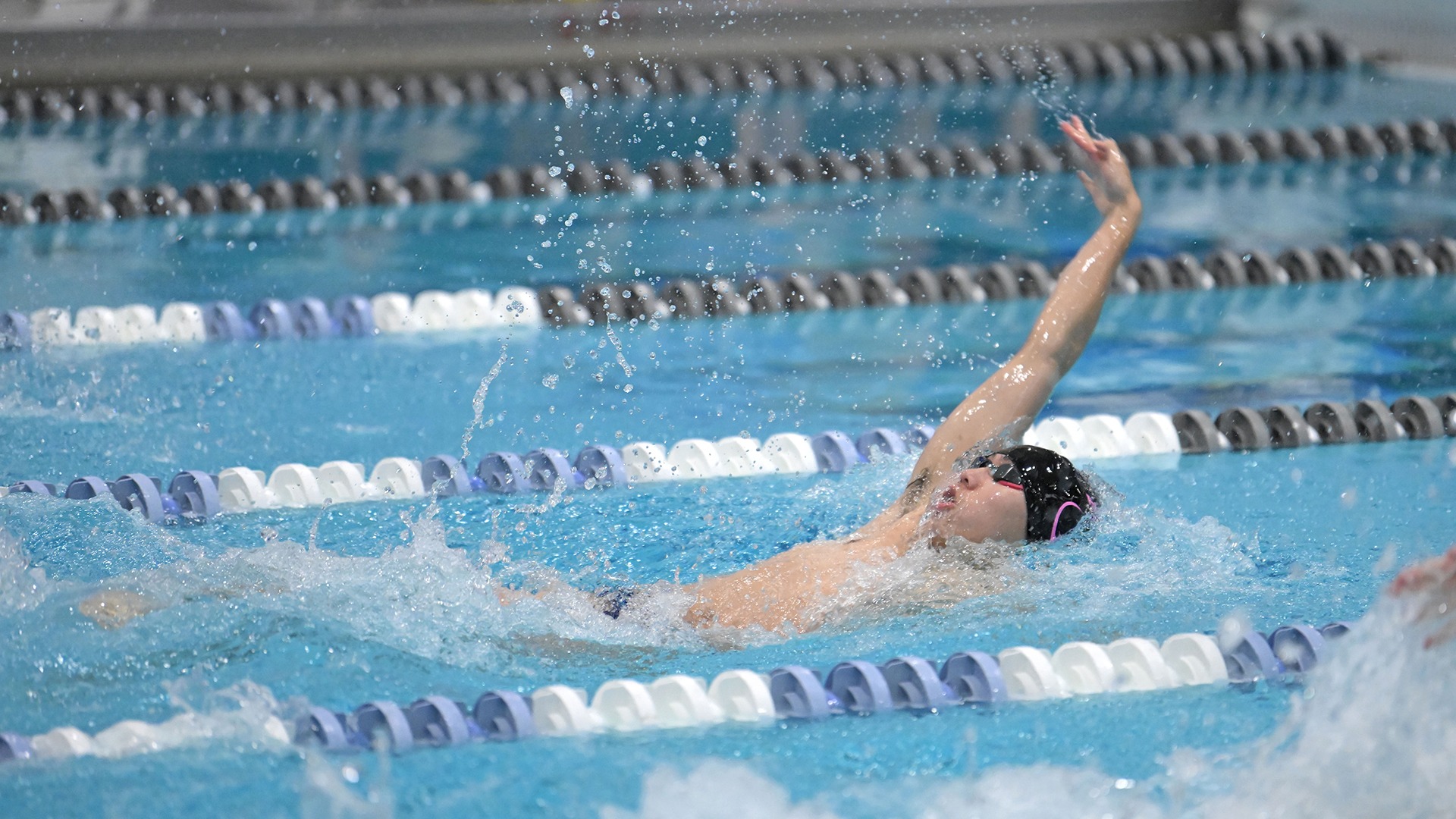 Tran, Marcus action vs. Bentley