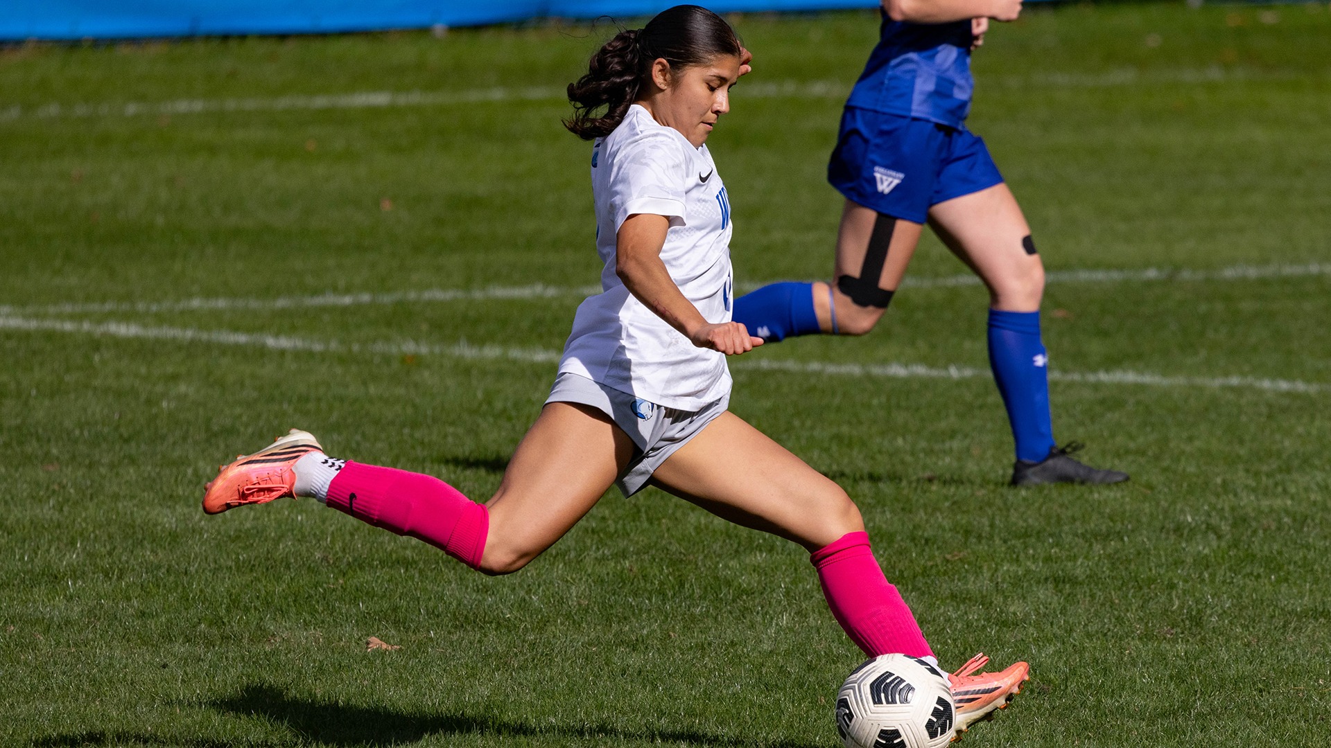 Leiva, Camila action vs Wellesley