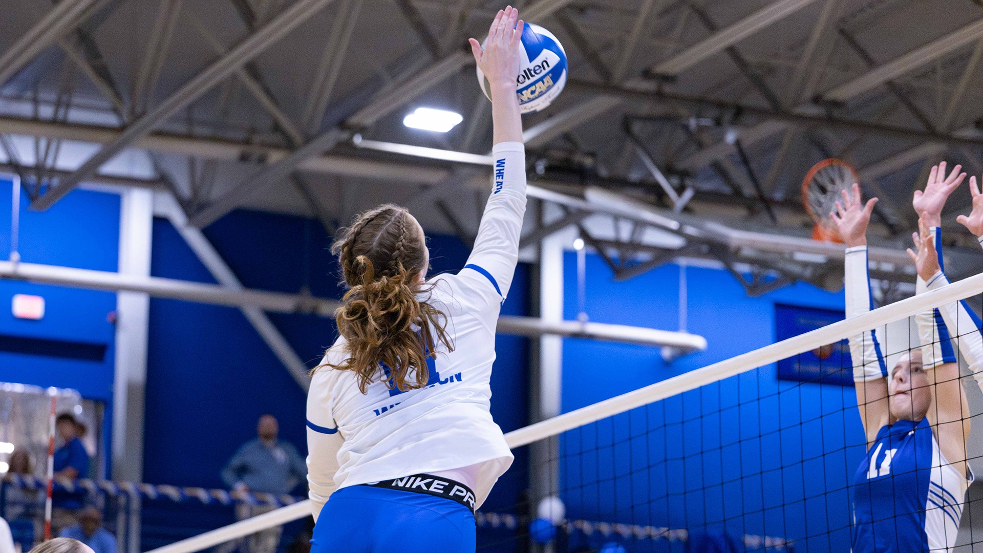Mazzanti, Mary Caroline action vs Wellesley