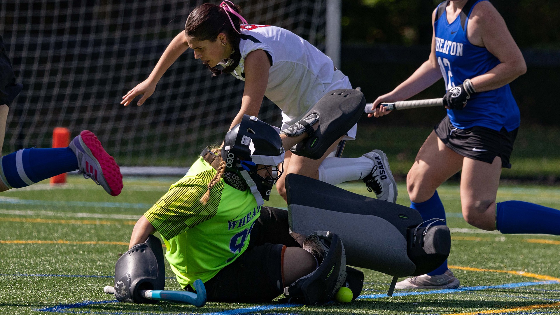 Ferguson, Grace action vs Clark