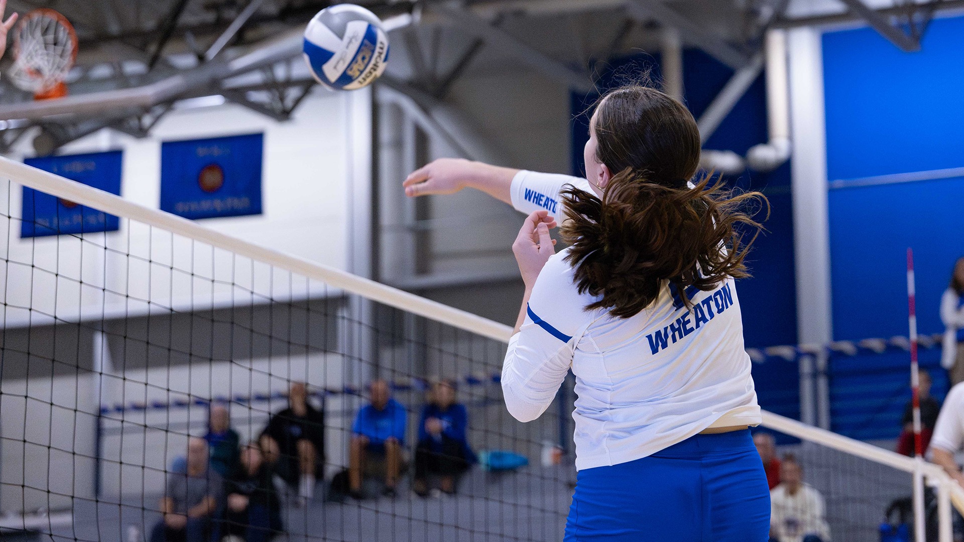 Botelho, Maddy action vs. Wellesley