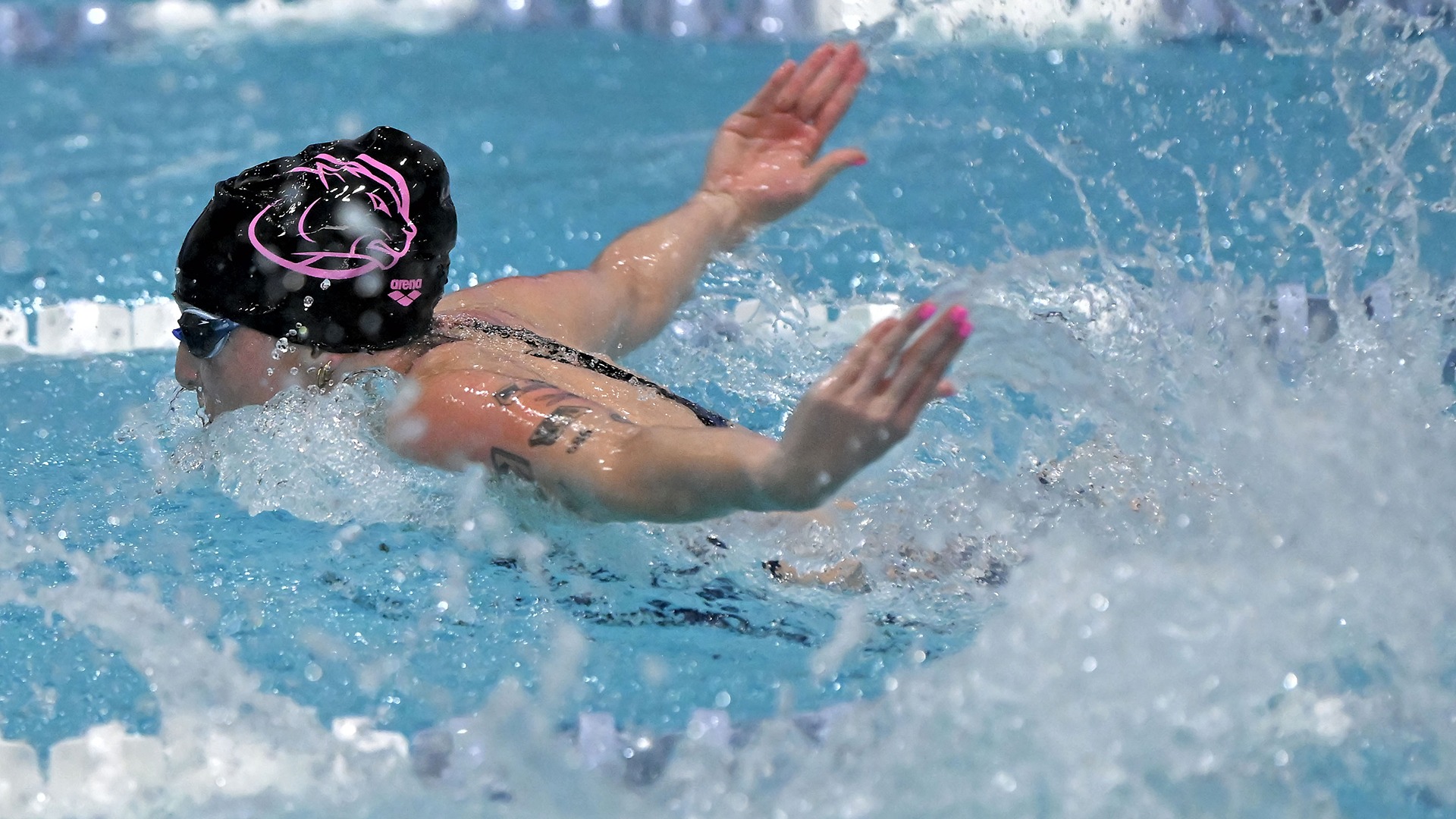 Stone, Garin action vs. Bentley 2526