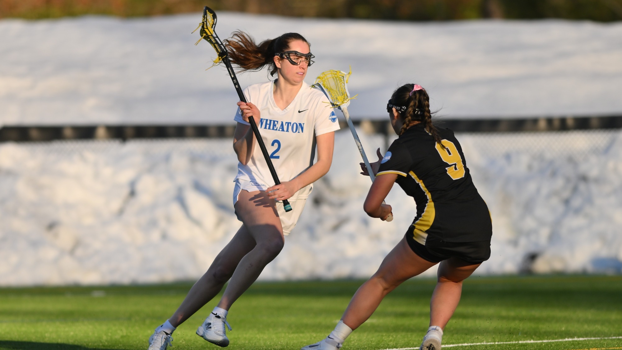 Chamberlin, Jessica action vs. Framingham State