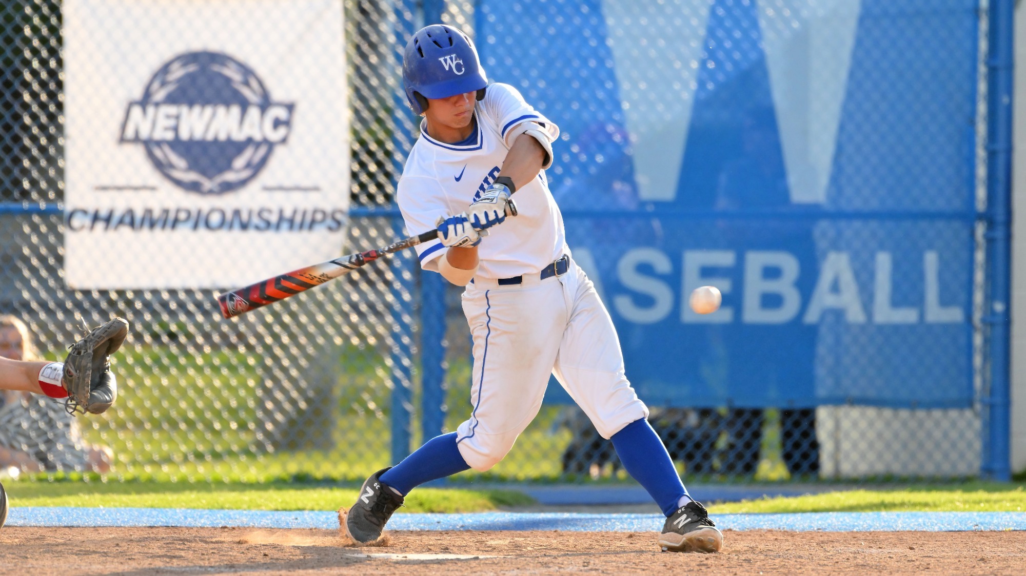 Rodrigues, Marcus action vs. WPI