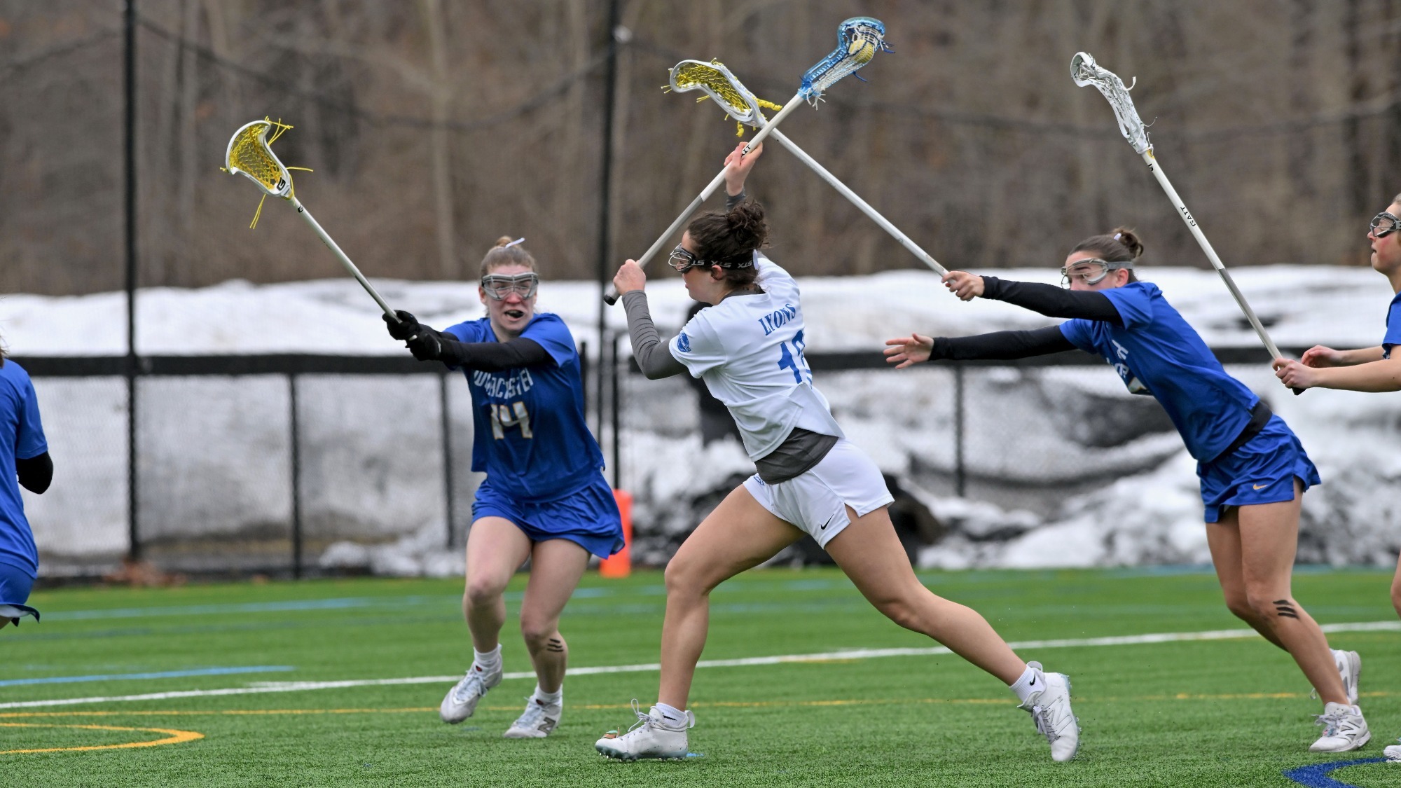 Antonellis, Alexis action vs. Worcester State