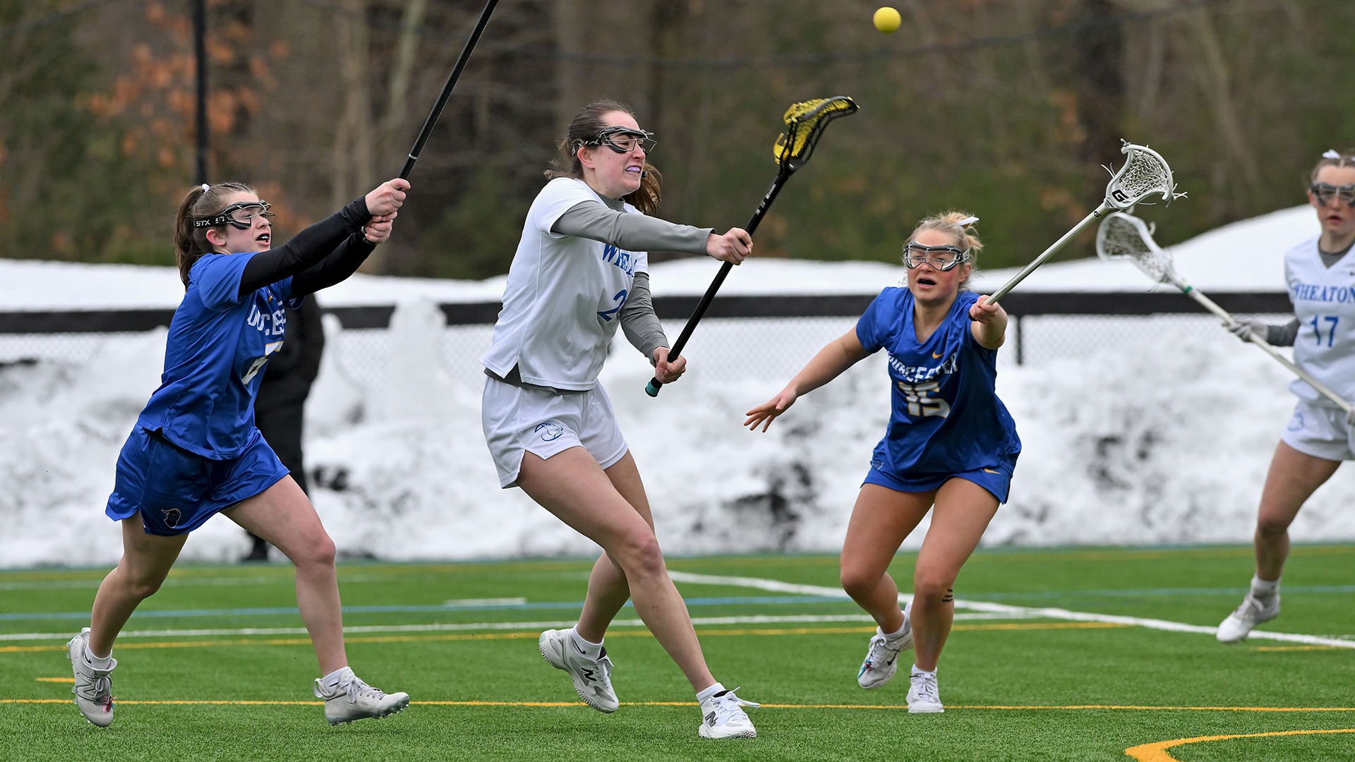 Chamberlin, Jessica action vs. Worcester State