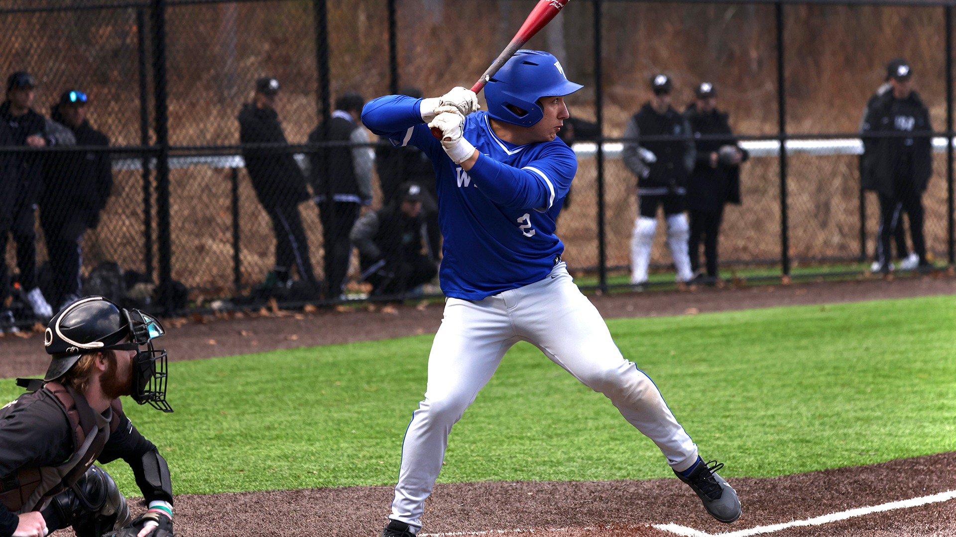 Lewis, Brayden action vs. Nichols