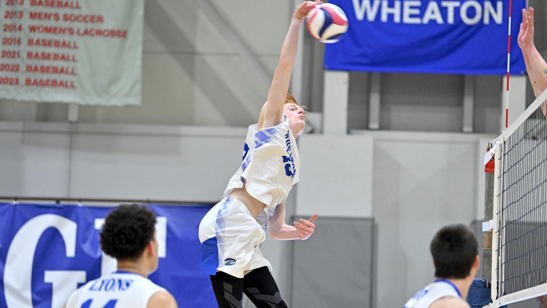 Lloyd, Connor action vs. Elms