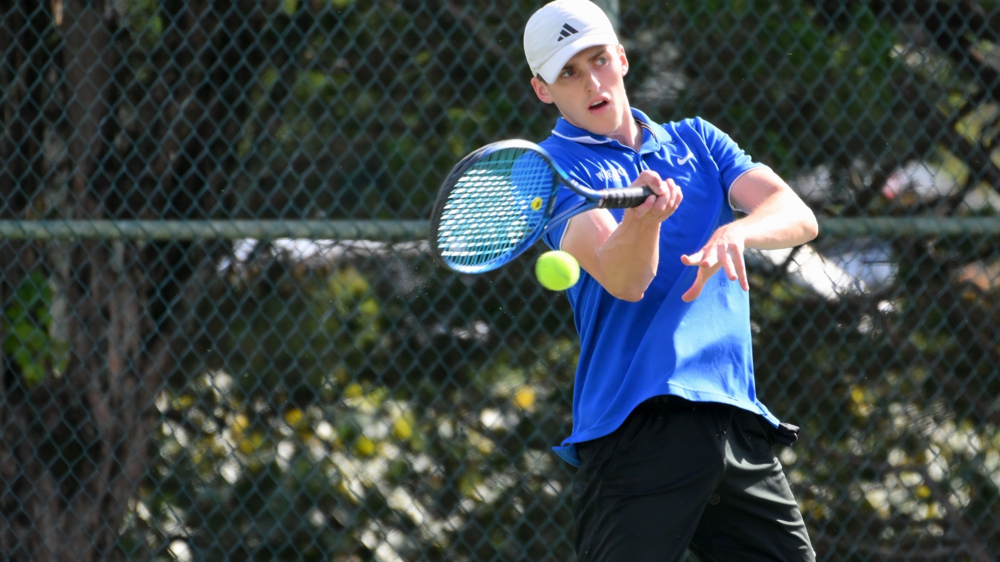 Thain, Jack action vs. Roger Williams