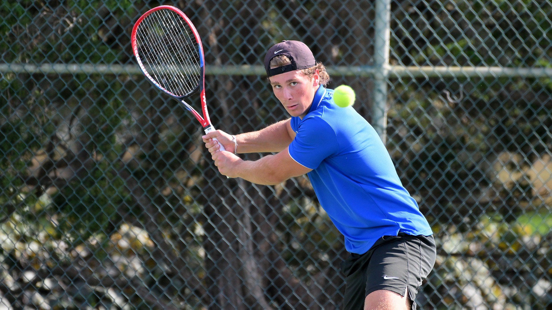 Van Dyke, Calvin vs. Roger Williams