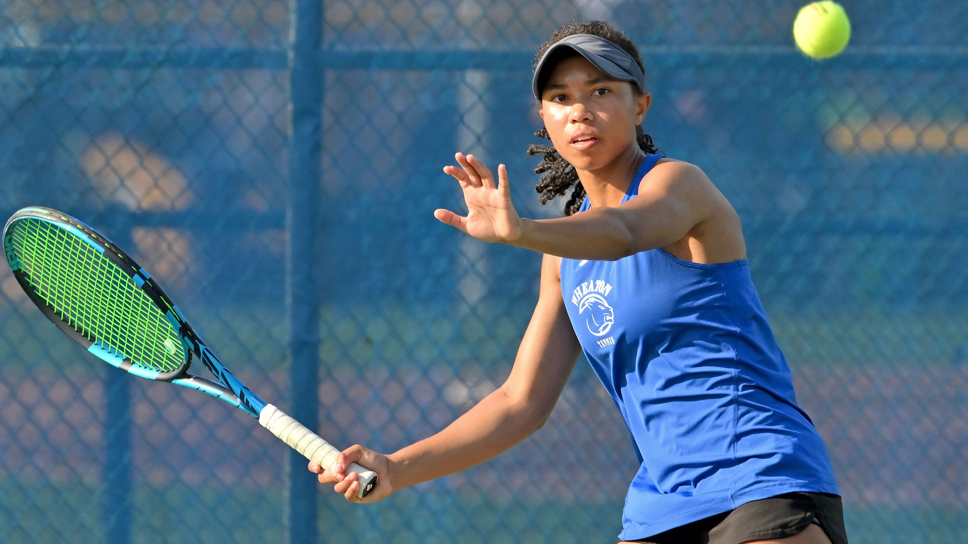 Hollis, Asia-Leigh action vs. Emerson