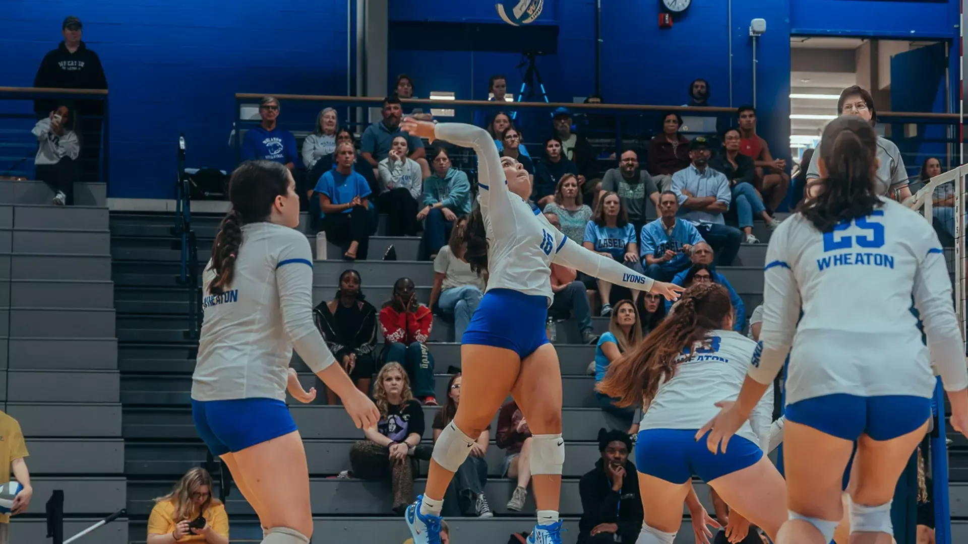 Tosadori, Ashlan action vs. Lasell
