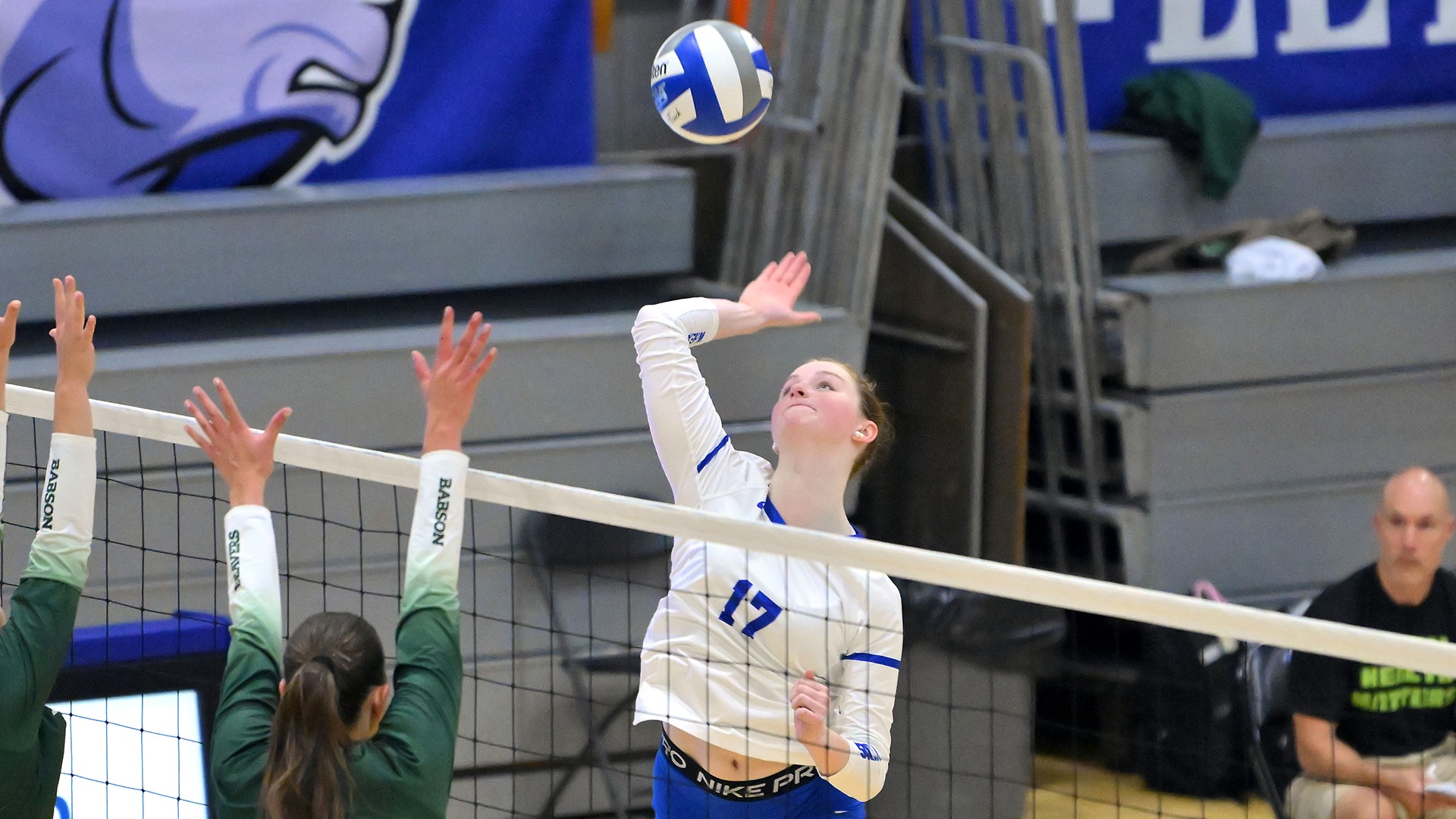 Mazzanti, Mary Caroline action vs. Babson3