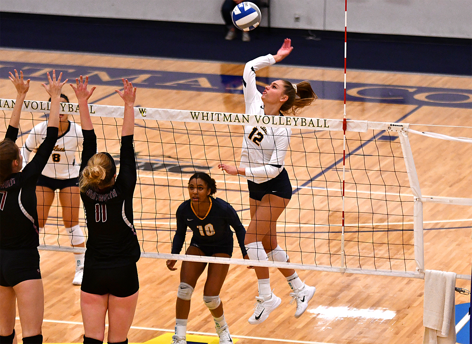 Elyse Benavides 2020 Women's Volleyball Whitman College Athletics