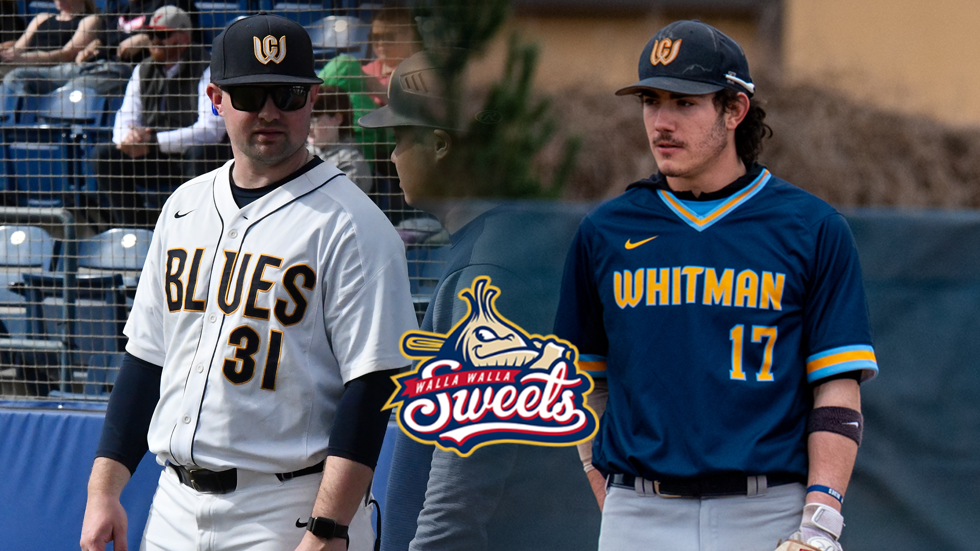 Watilo Rivera Sweets