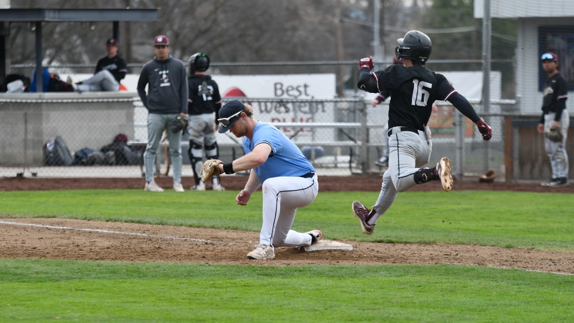 Sam Meiczkowski-Lapping