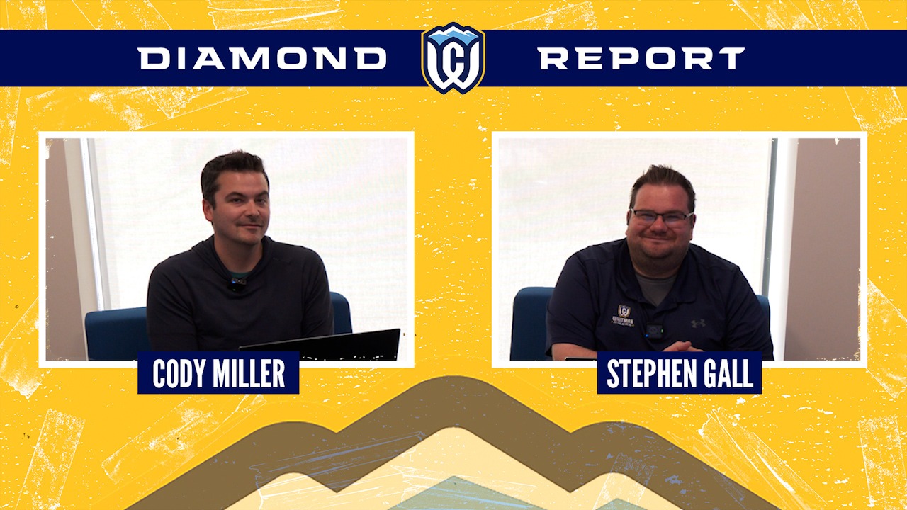 Diamond Report Screen Frame