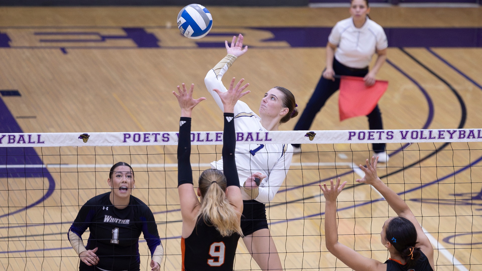 WVB